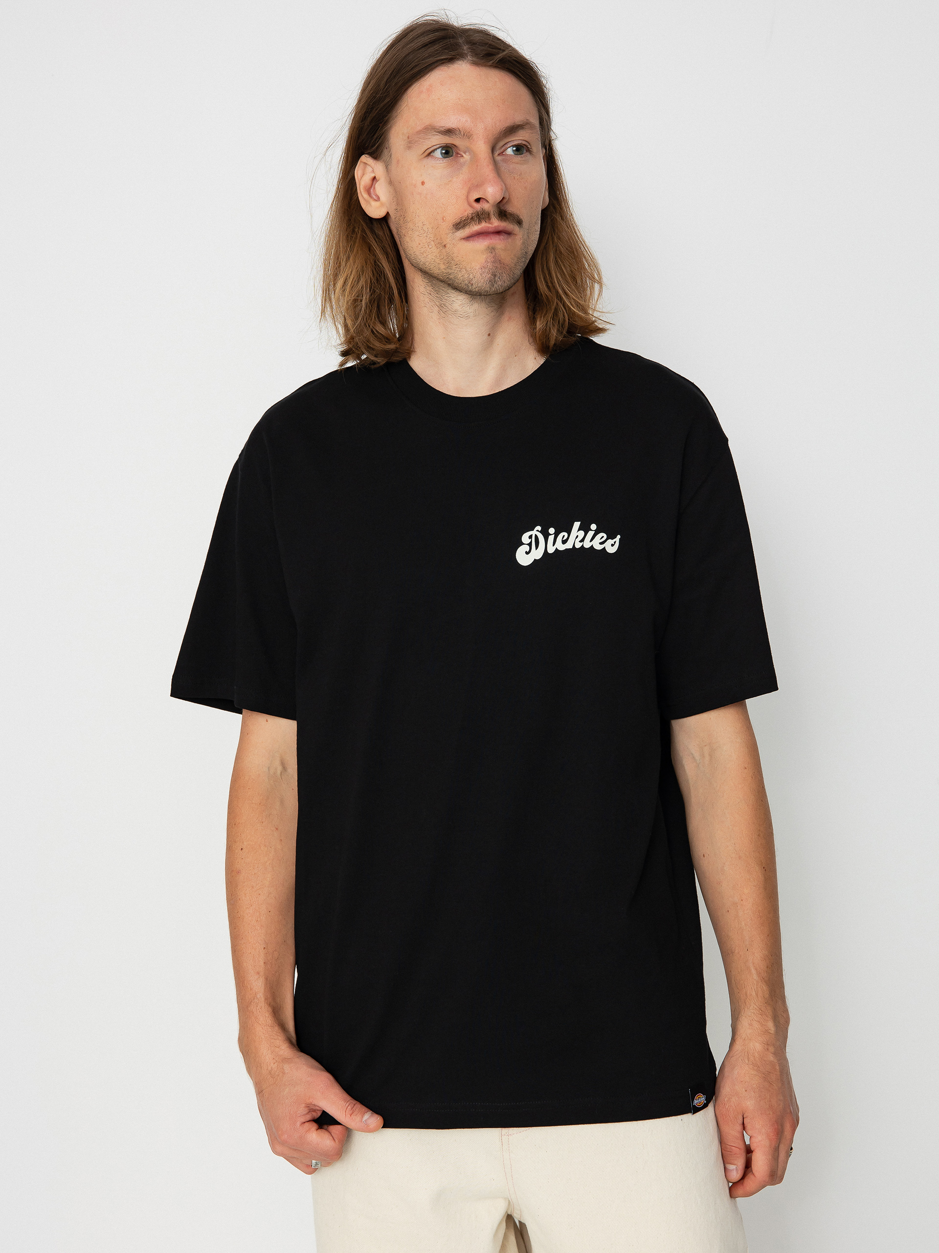 Dickies Grainfield T-shirt (black)