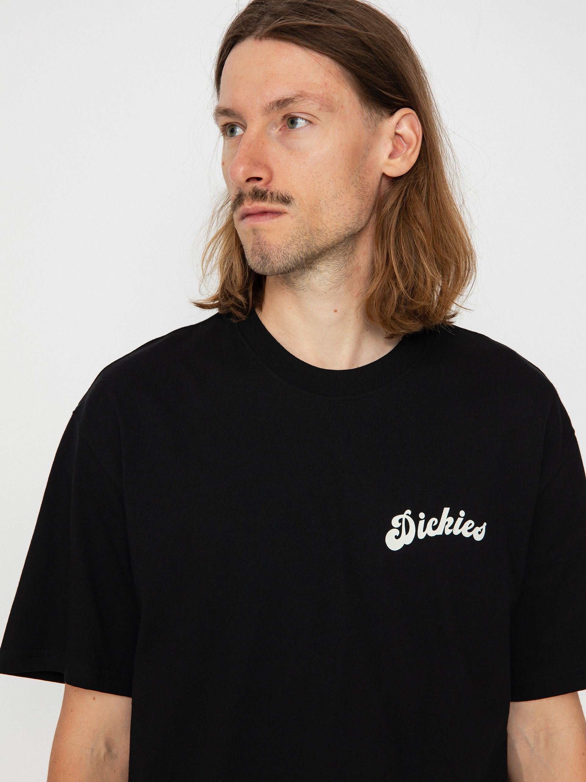 Dickies Grainfield T-shirt (black)