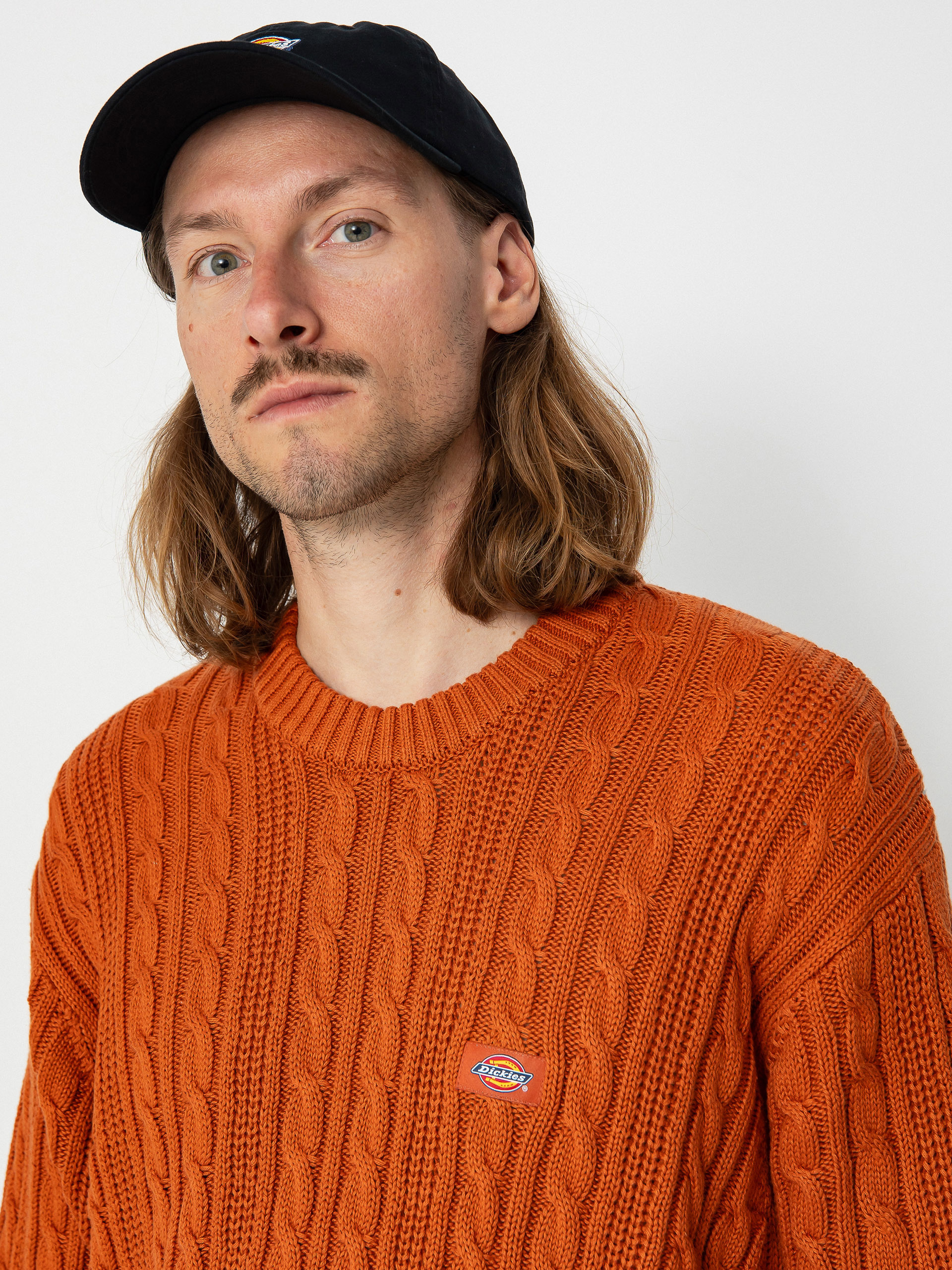 Dickies Mullinville Pulli (bombay brown)