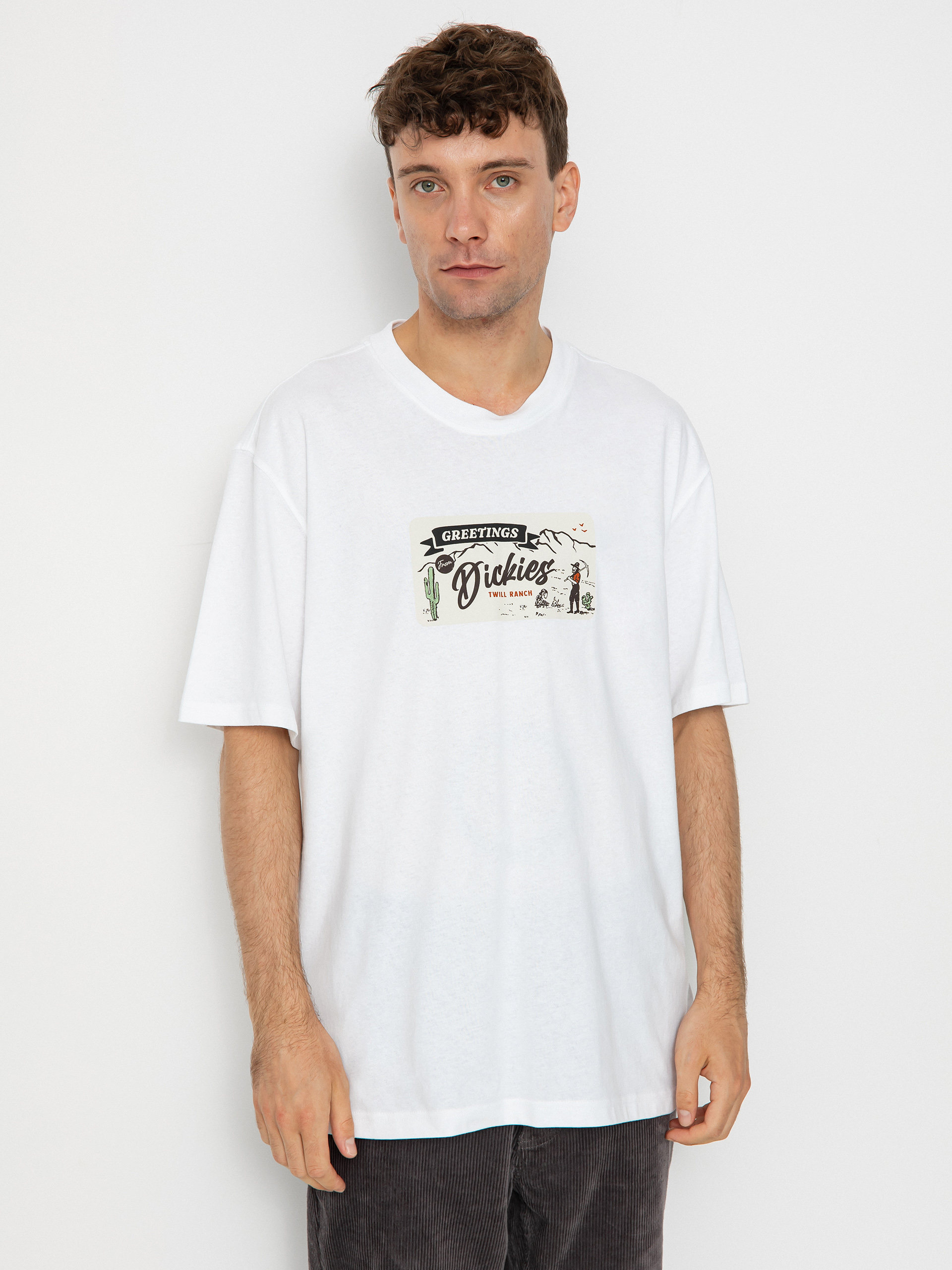 Dickies Rossville T-shirt (white)