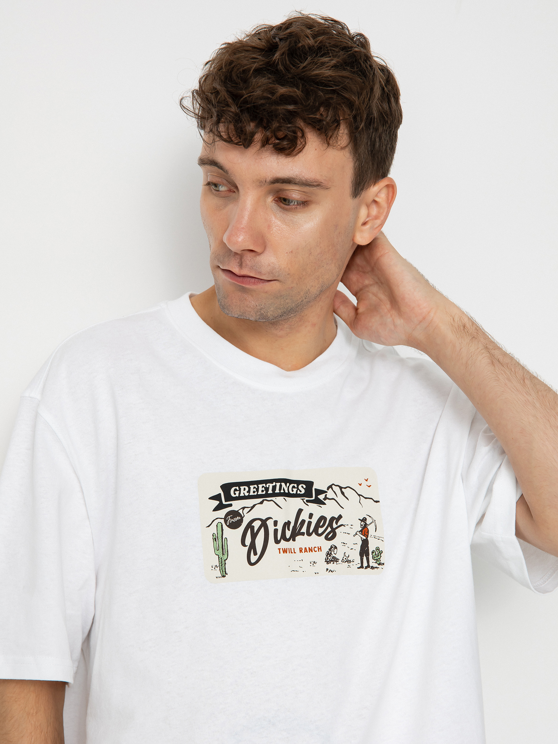 Dickies Rossville T-shirt (white)