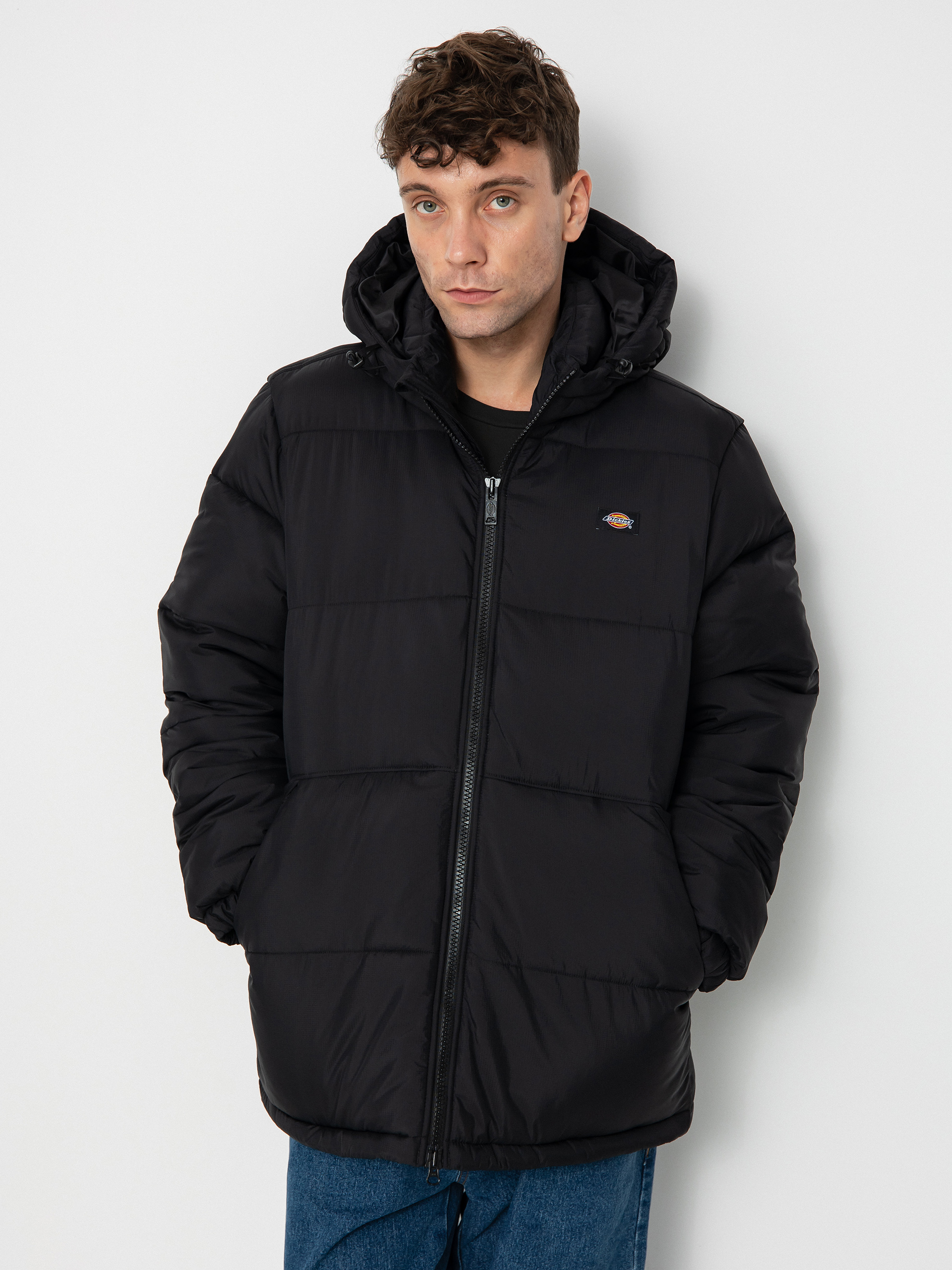 Dickies Waldenburg Jacke (black)