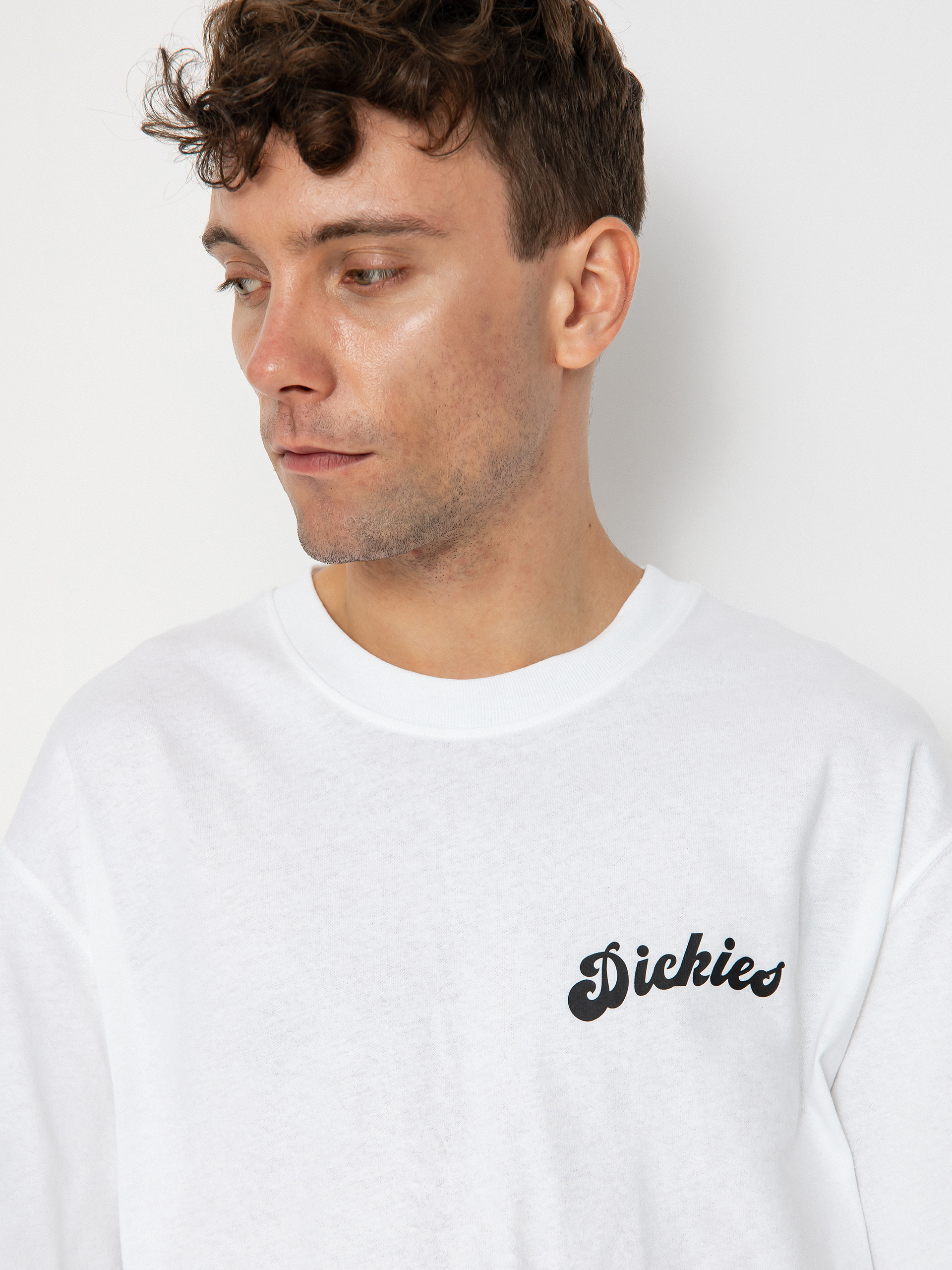 Dickies Grainfield T-shirt (white)