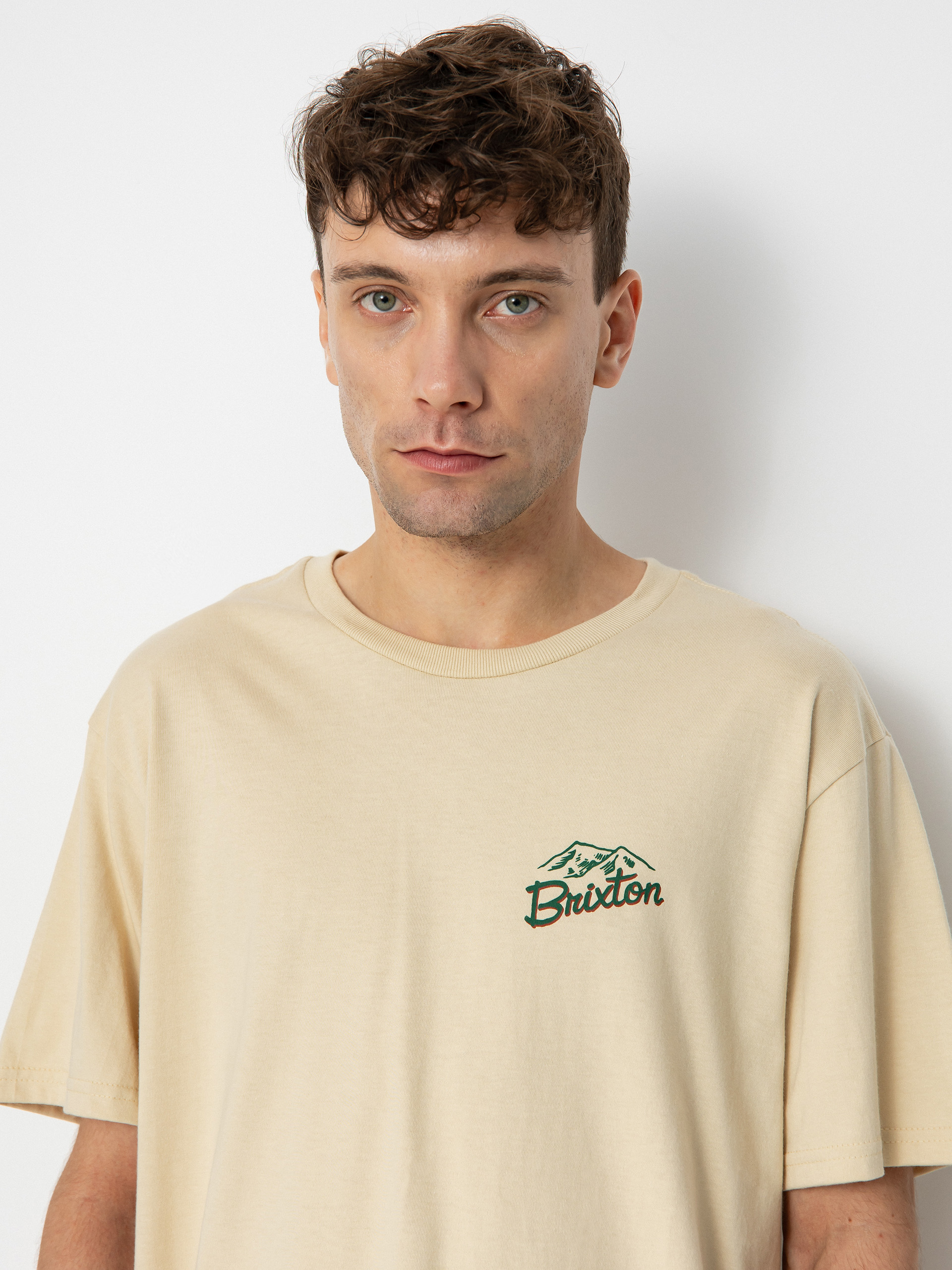Brixton Welton Stt T-shirt (cream)