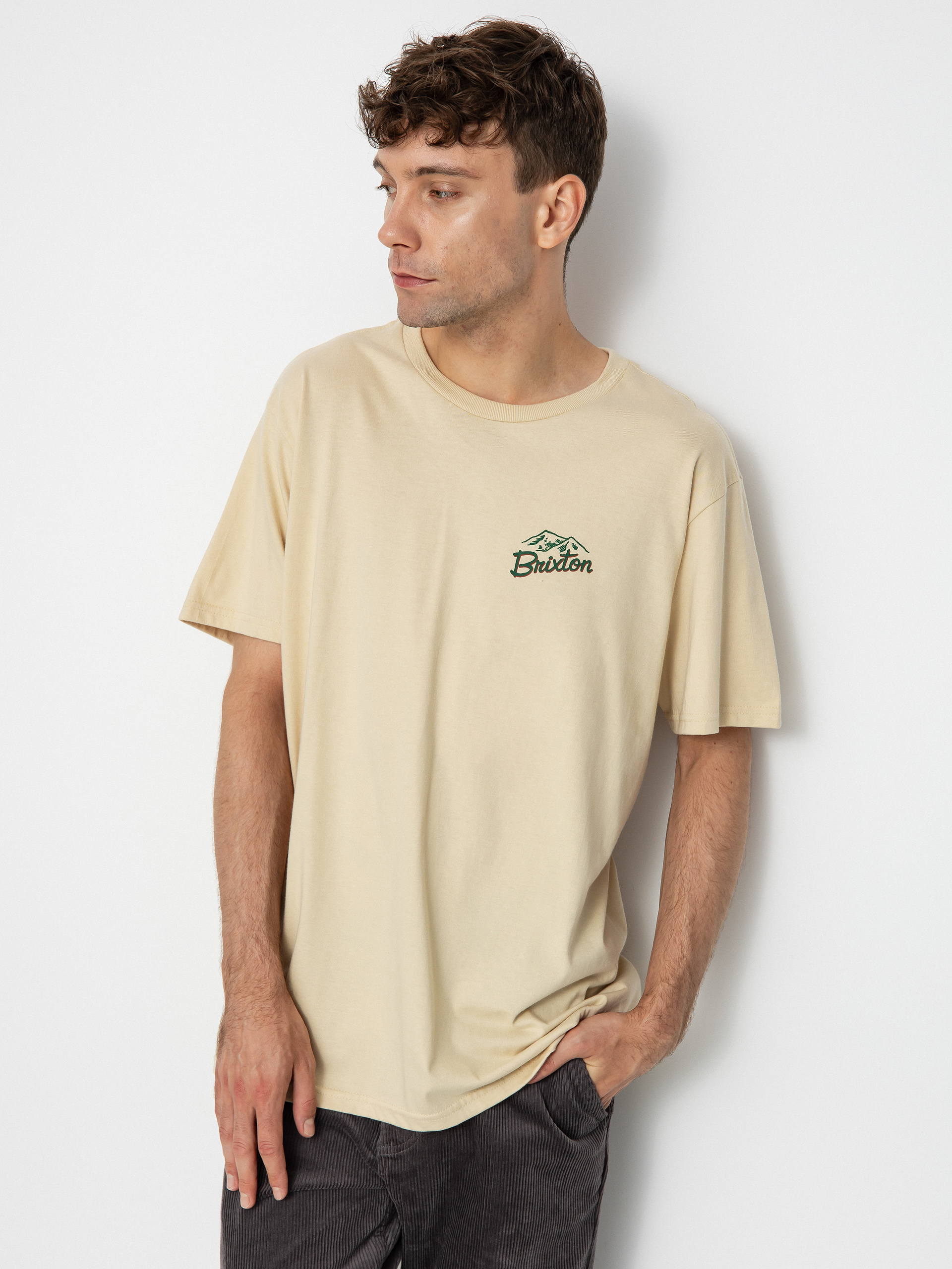 Brixton Welton Stt T-shirt (cream)