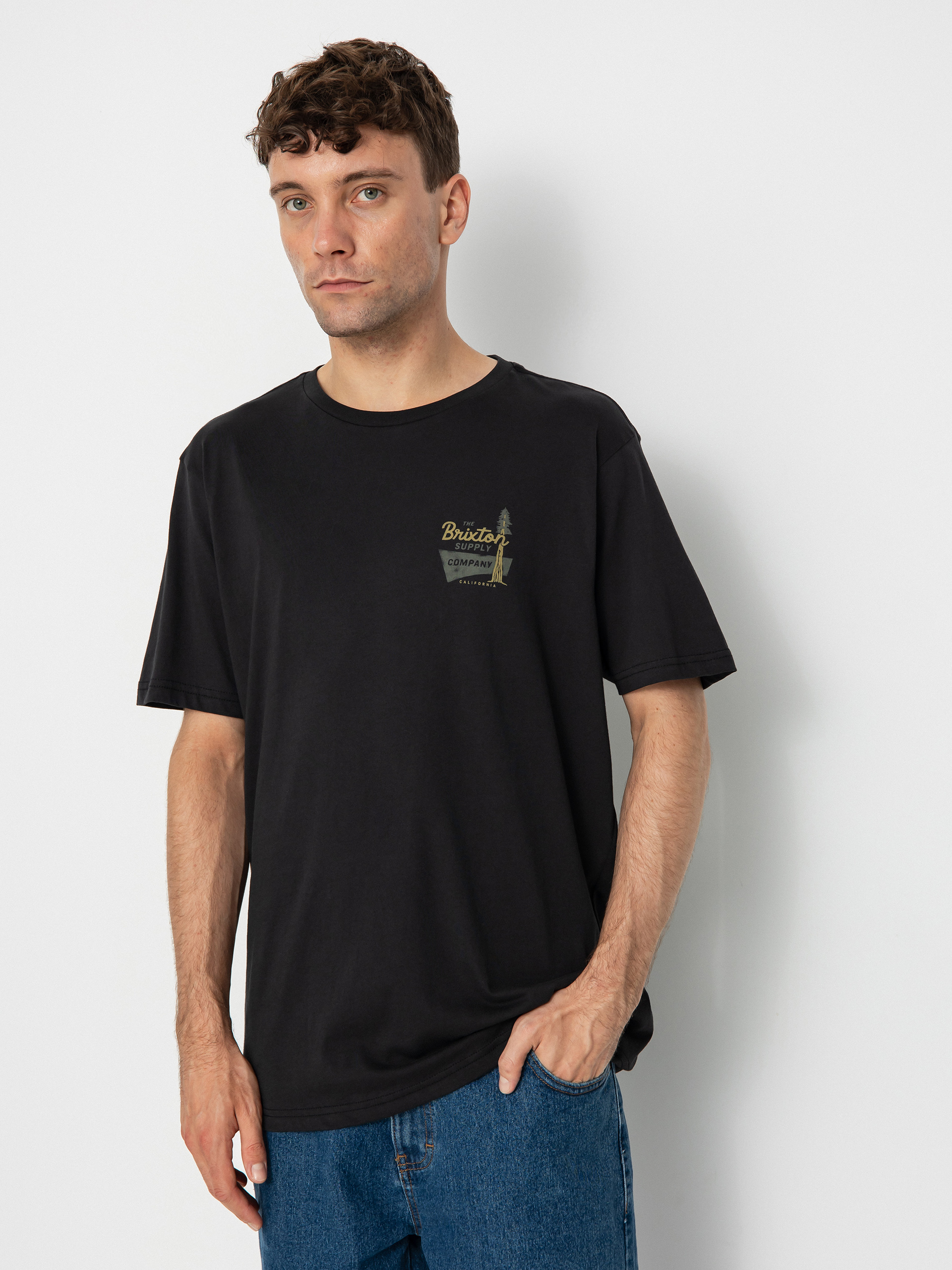 Brixton Howell Tlrt T-shirt (black)
