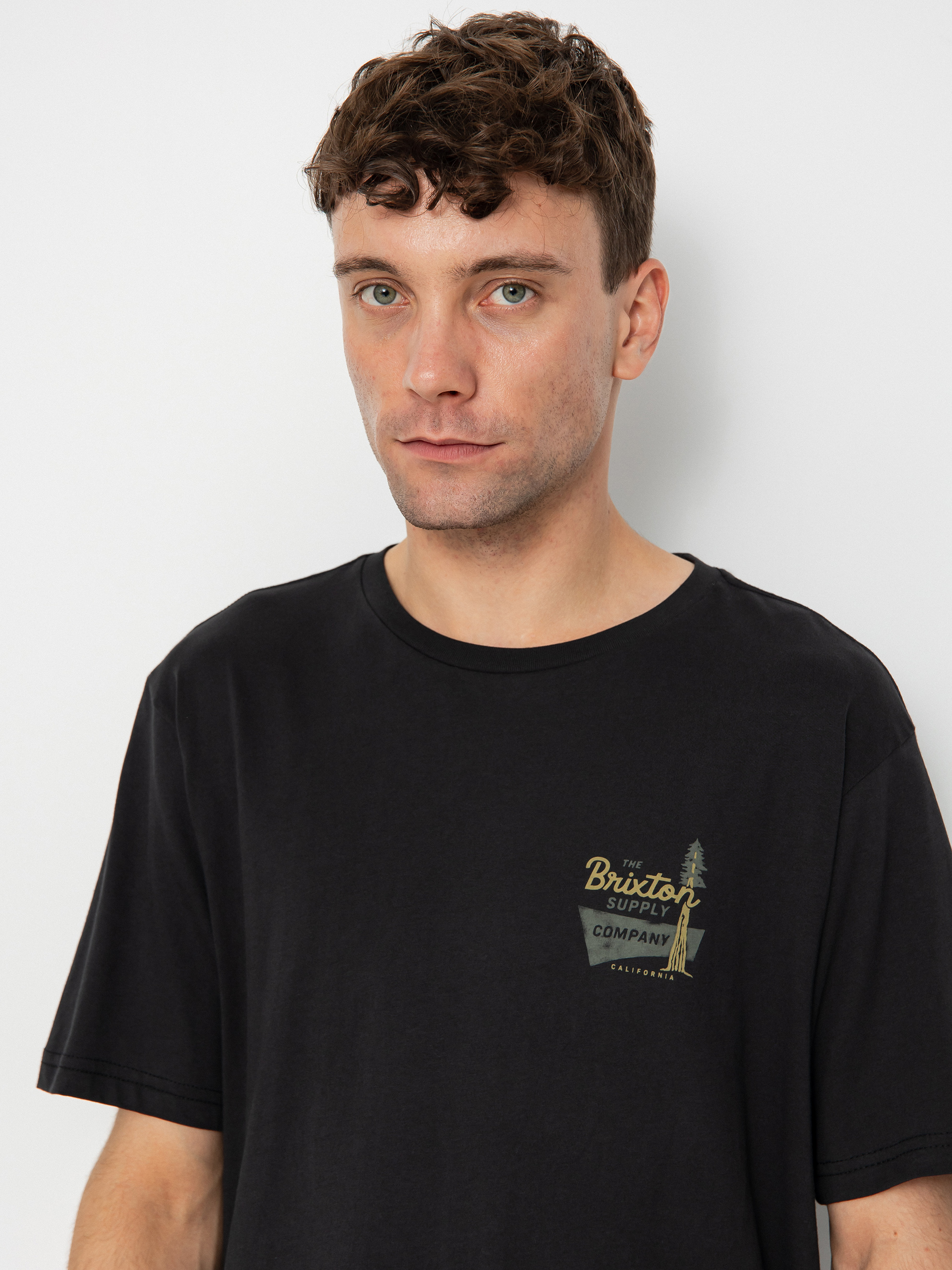 Brixton Howell Tlrt T-shirt (black)