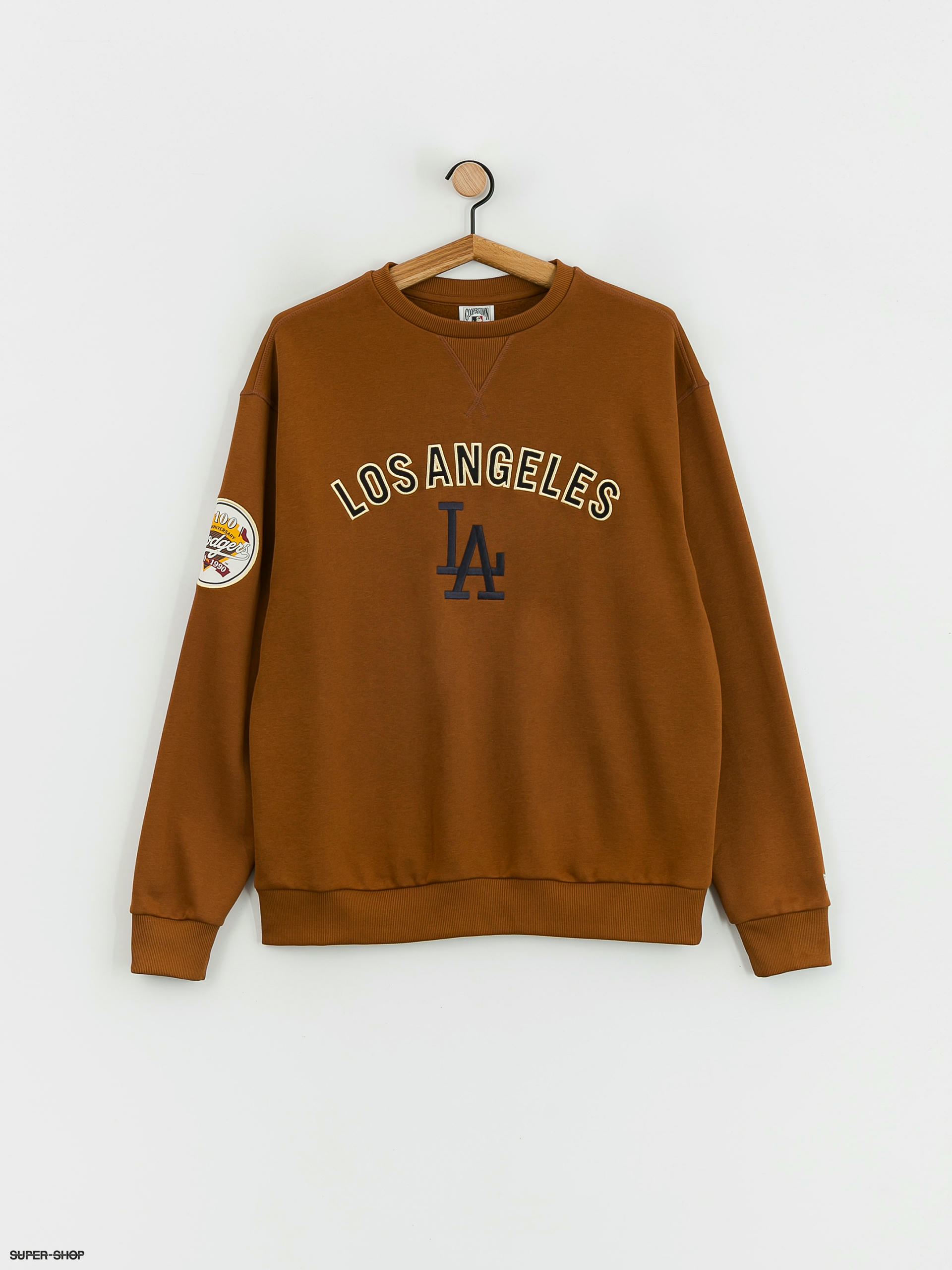 Champion sweater brown top zara