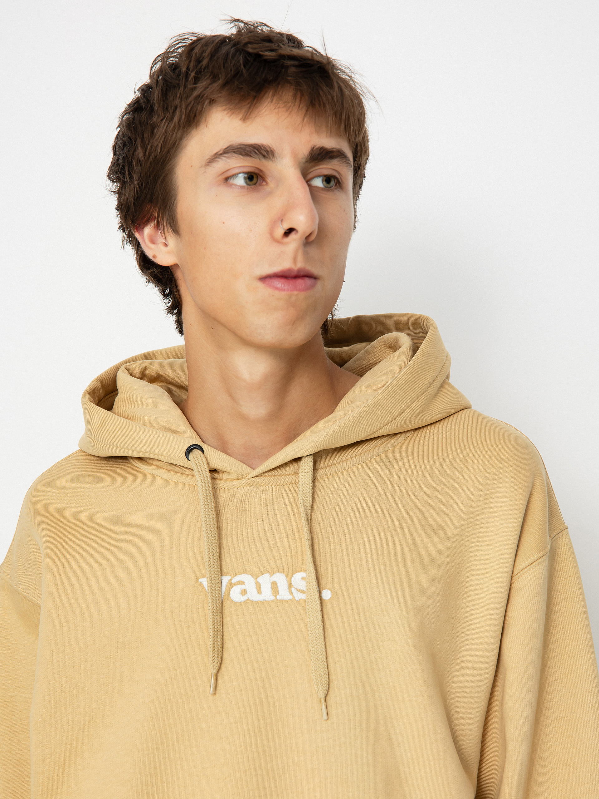 Vans Lowered Loose Po Sweatshirt (taos taupe)