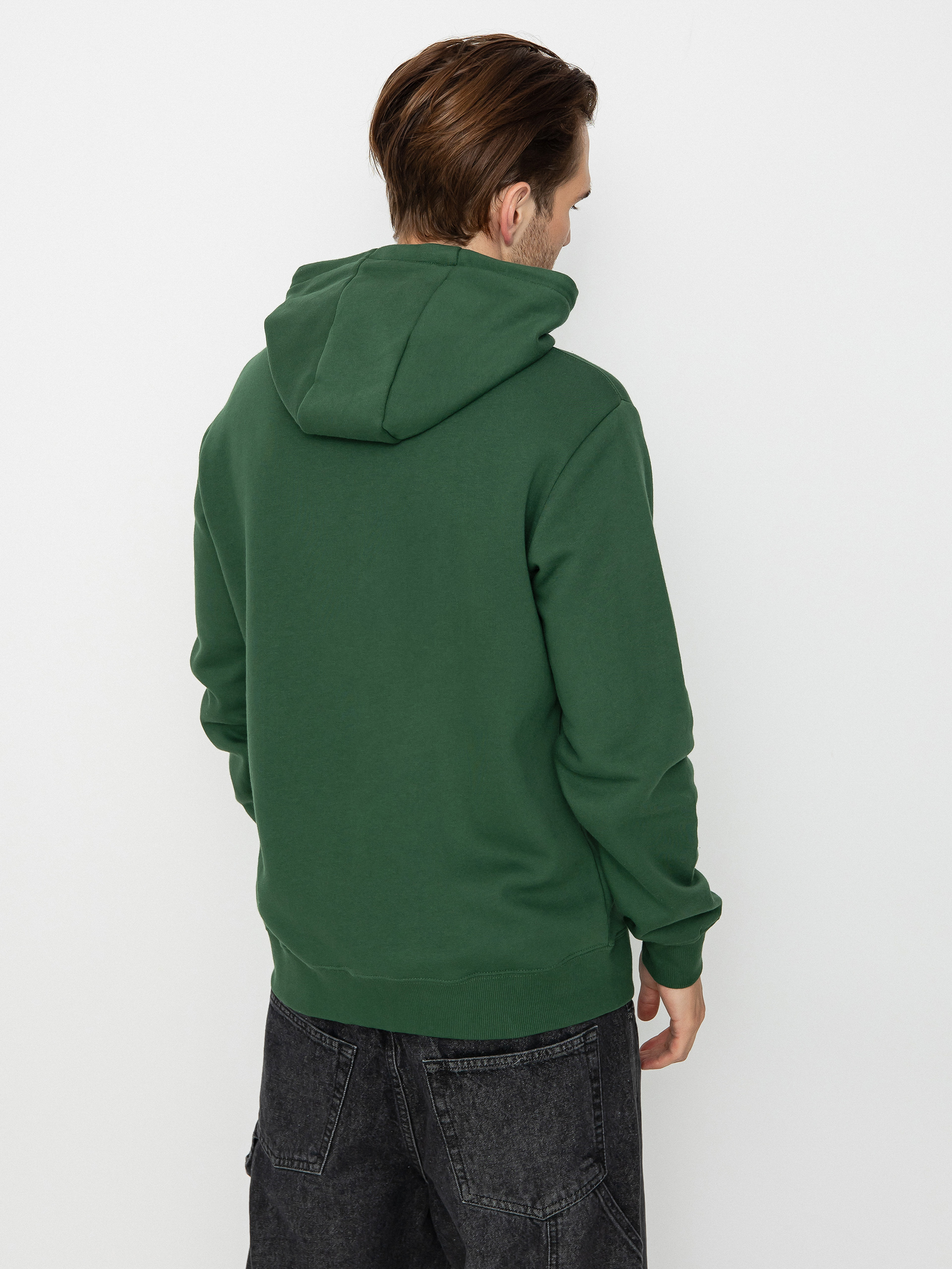 Quiksilver Big Logo HD Hoodie (greener pastures)