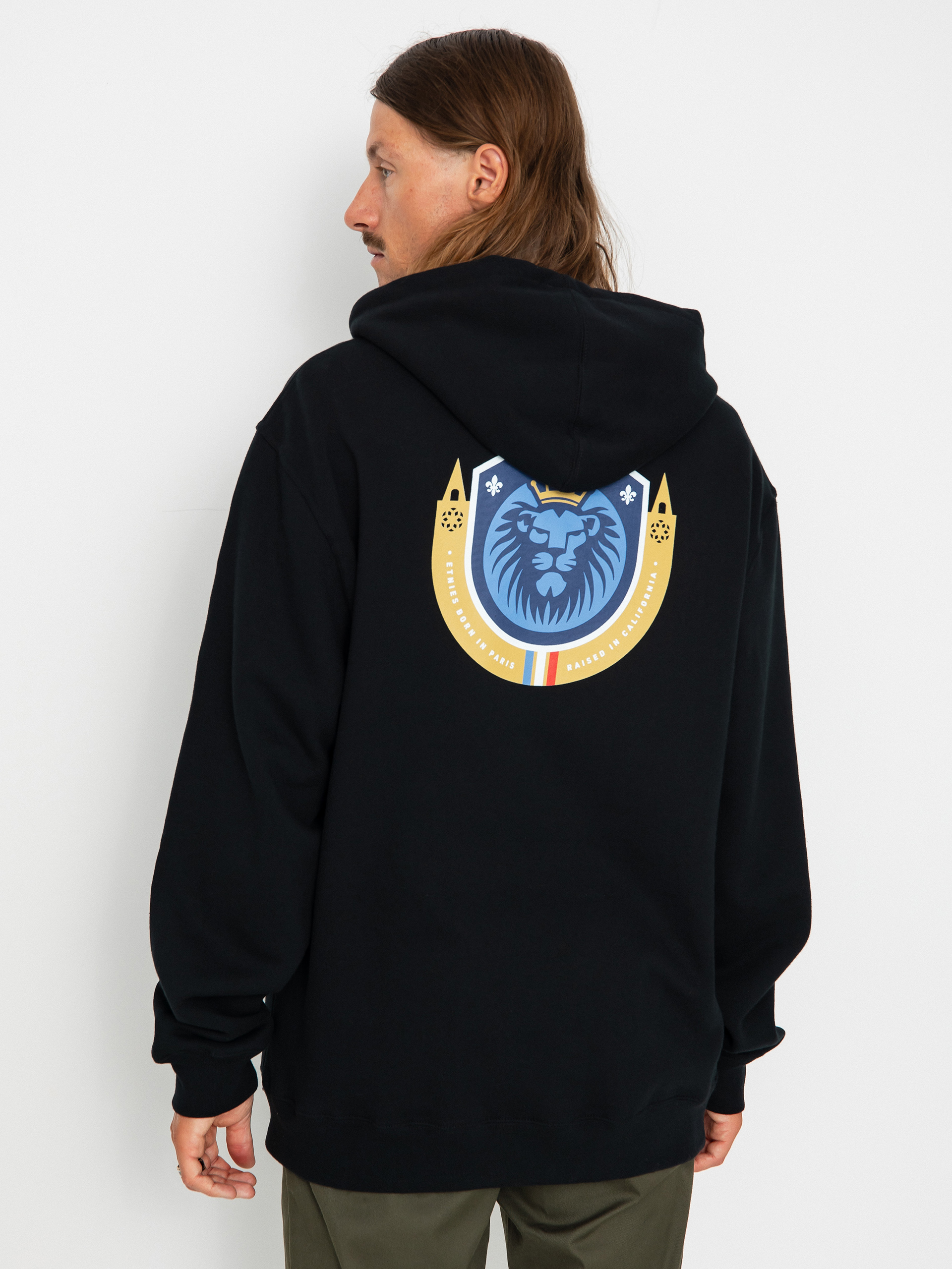 Etnies Ag HD Hoodie (black)