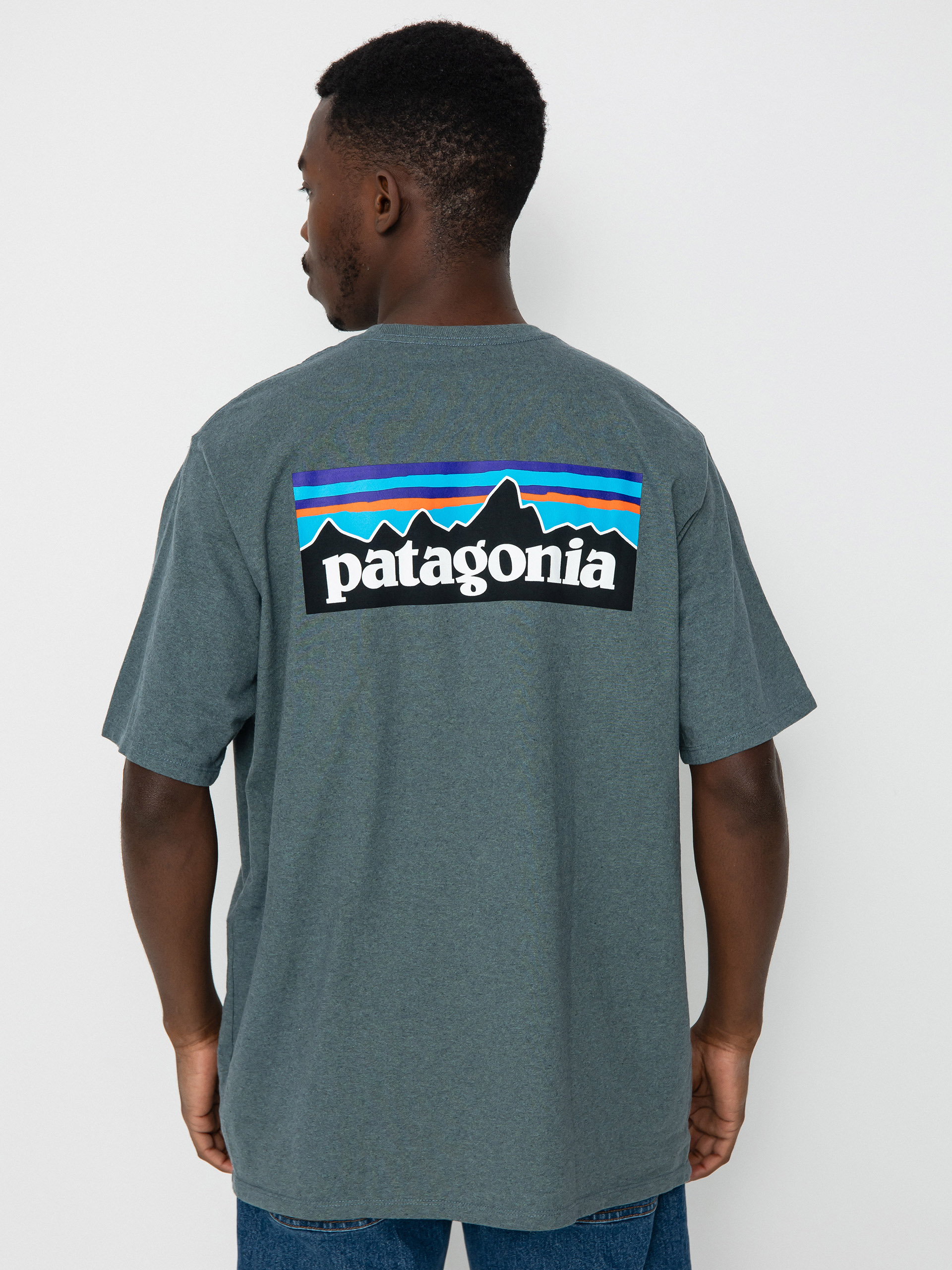 Patagonia P 6 Logo Responsibili T-shirt (nouveau green)