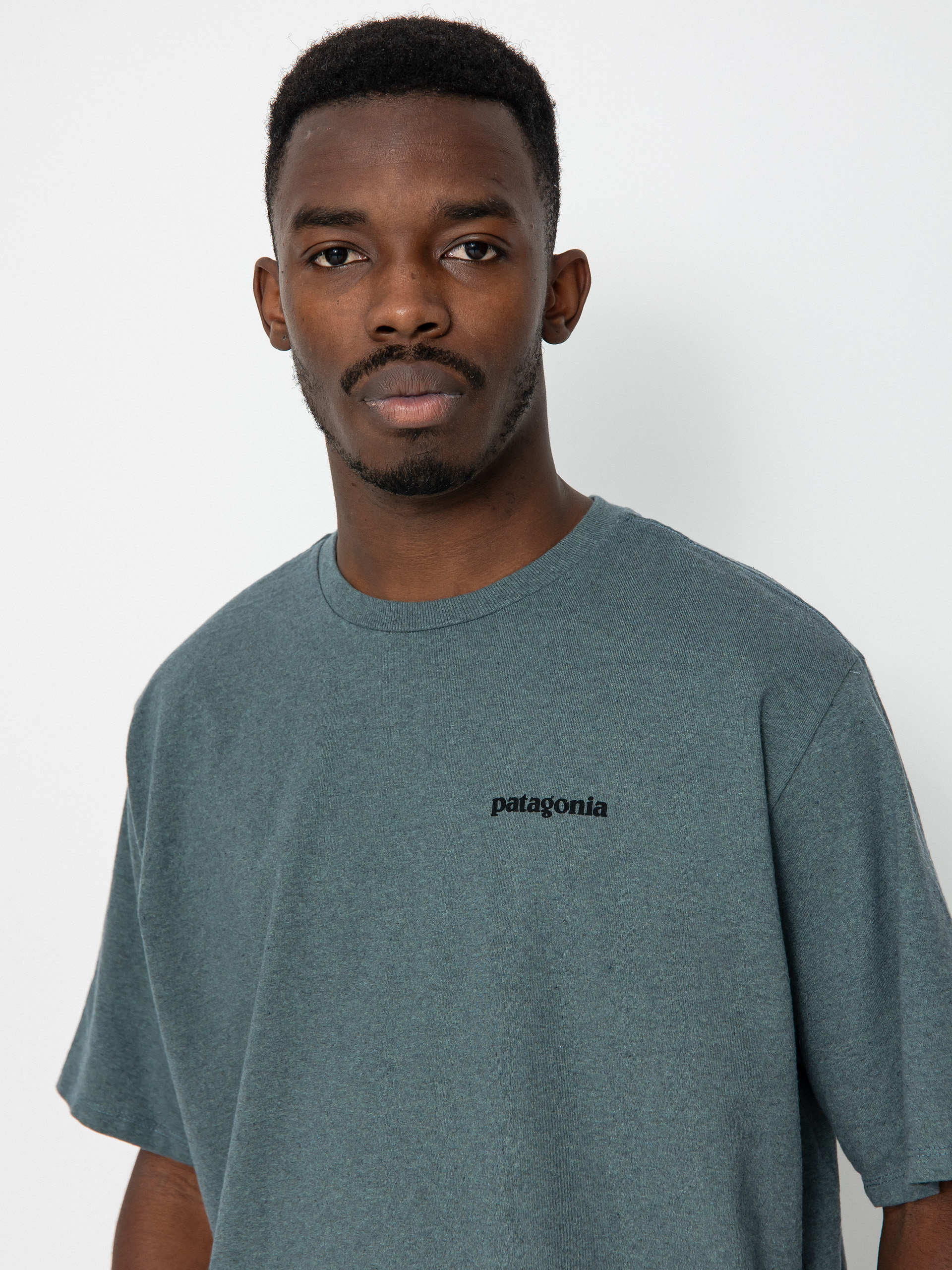 Patagonia P 6 Logo Responsibili T-shirt (nouveau green)