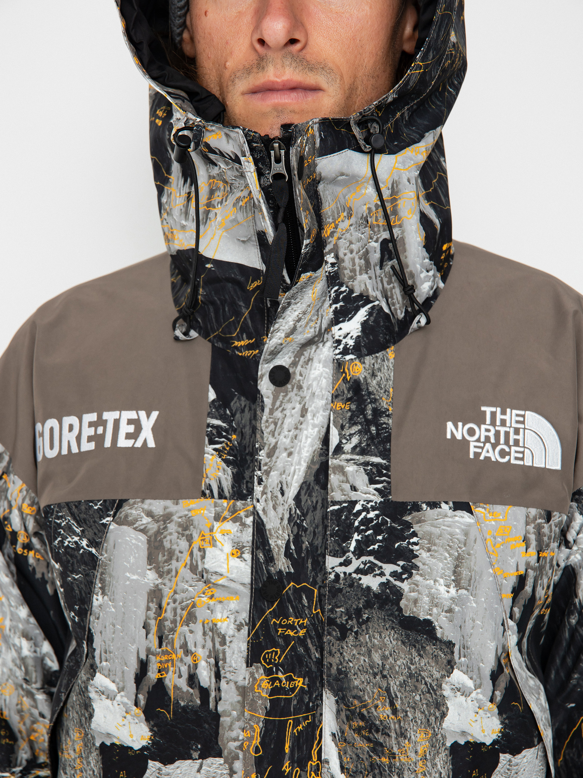 The North Face Gtx Mtn Jacke - Grau (falcon brown conrads no)