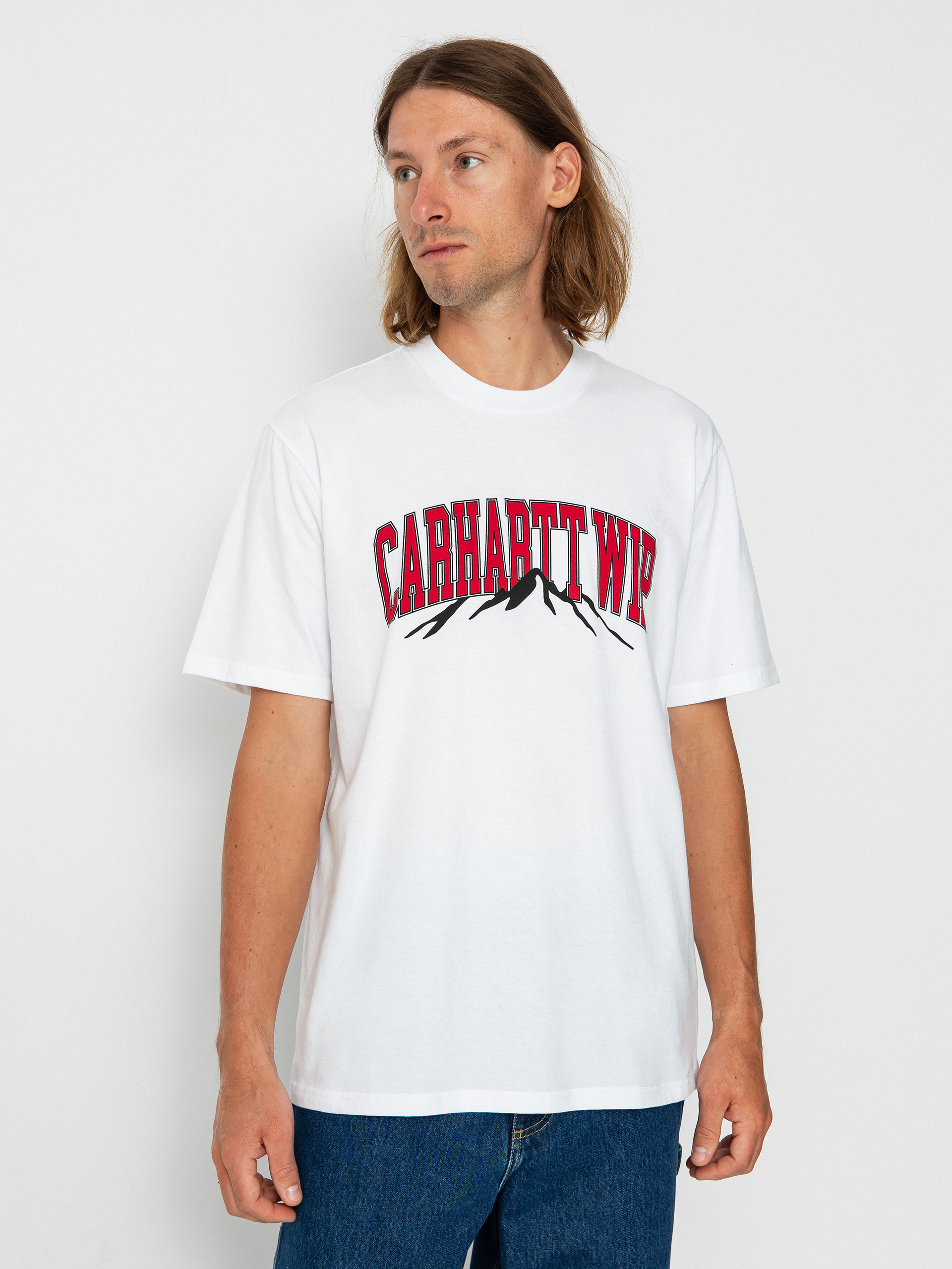 Carhartt WIP Mountain College T-shirt (white)