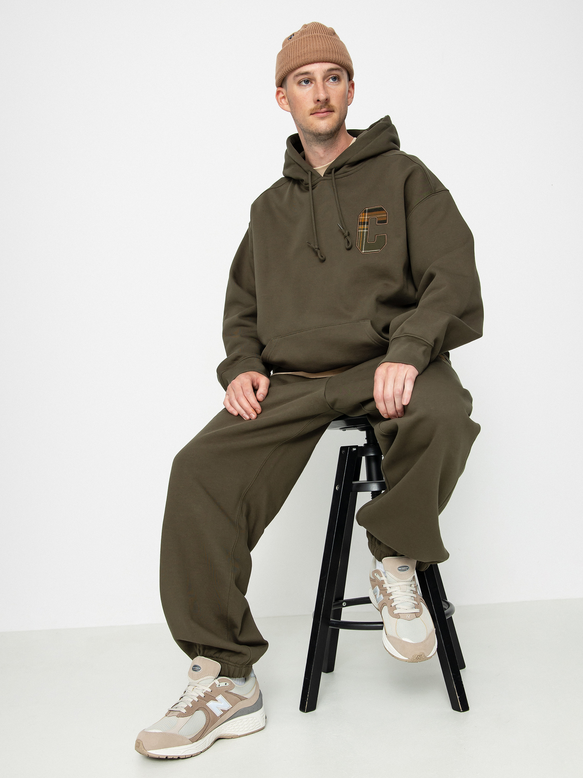 Carhartt WIP Wiles HD Hoodie (plant)