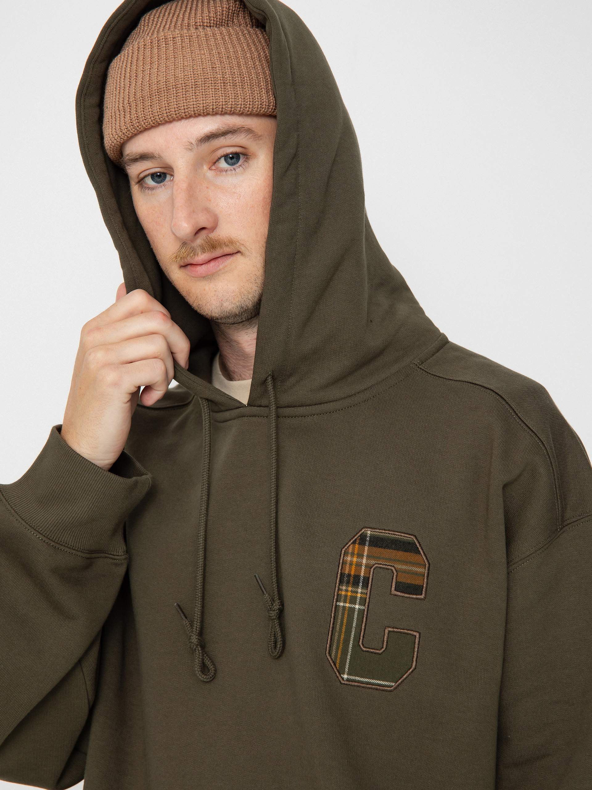 Carhartt WIP Wiles HD Hoodie (plant)
