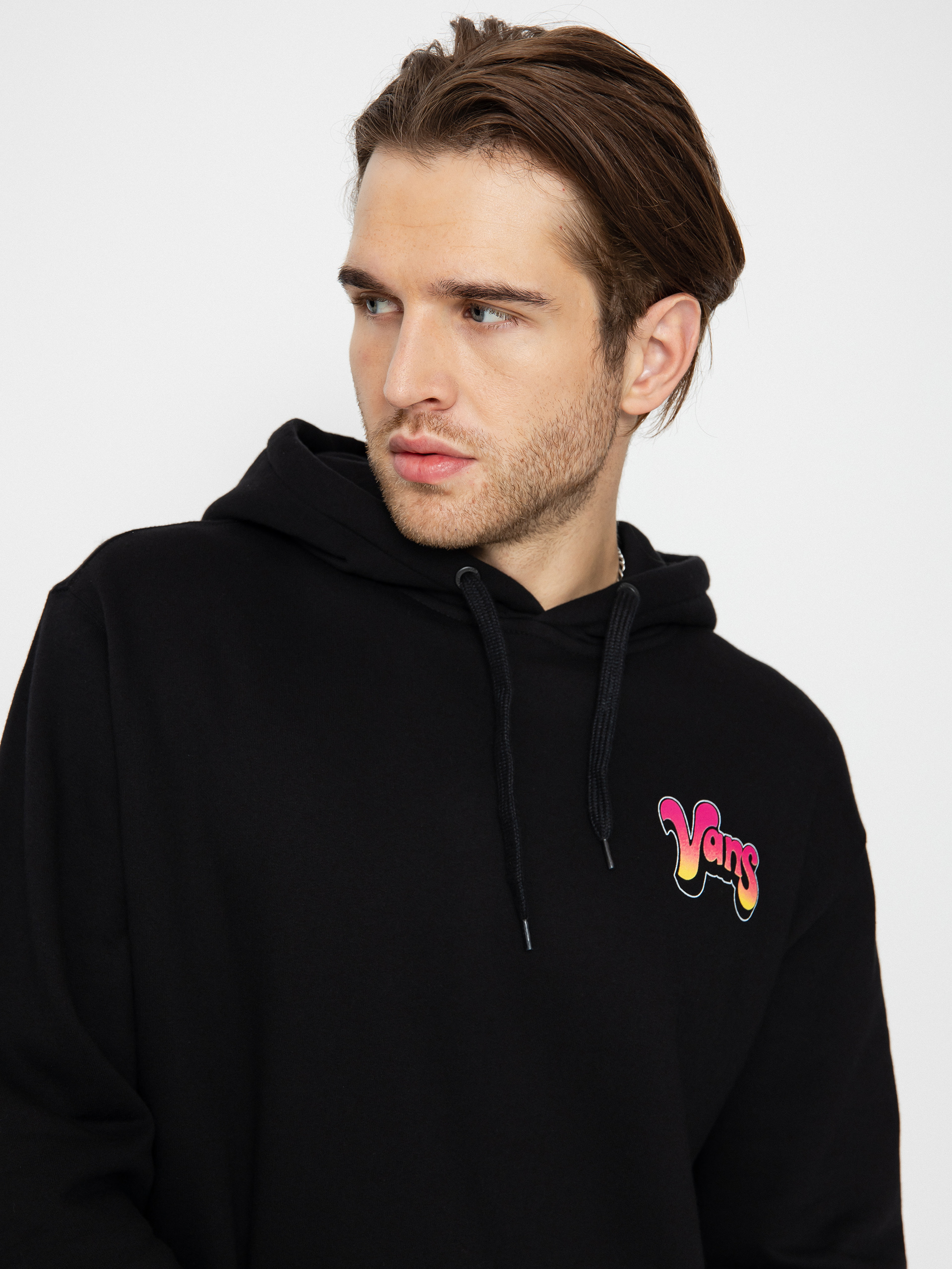 Vans 8 Ball HD Hoodie (black)