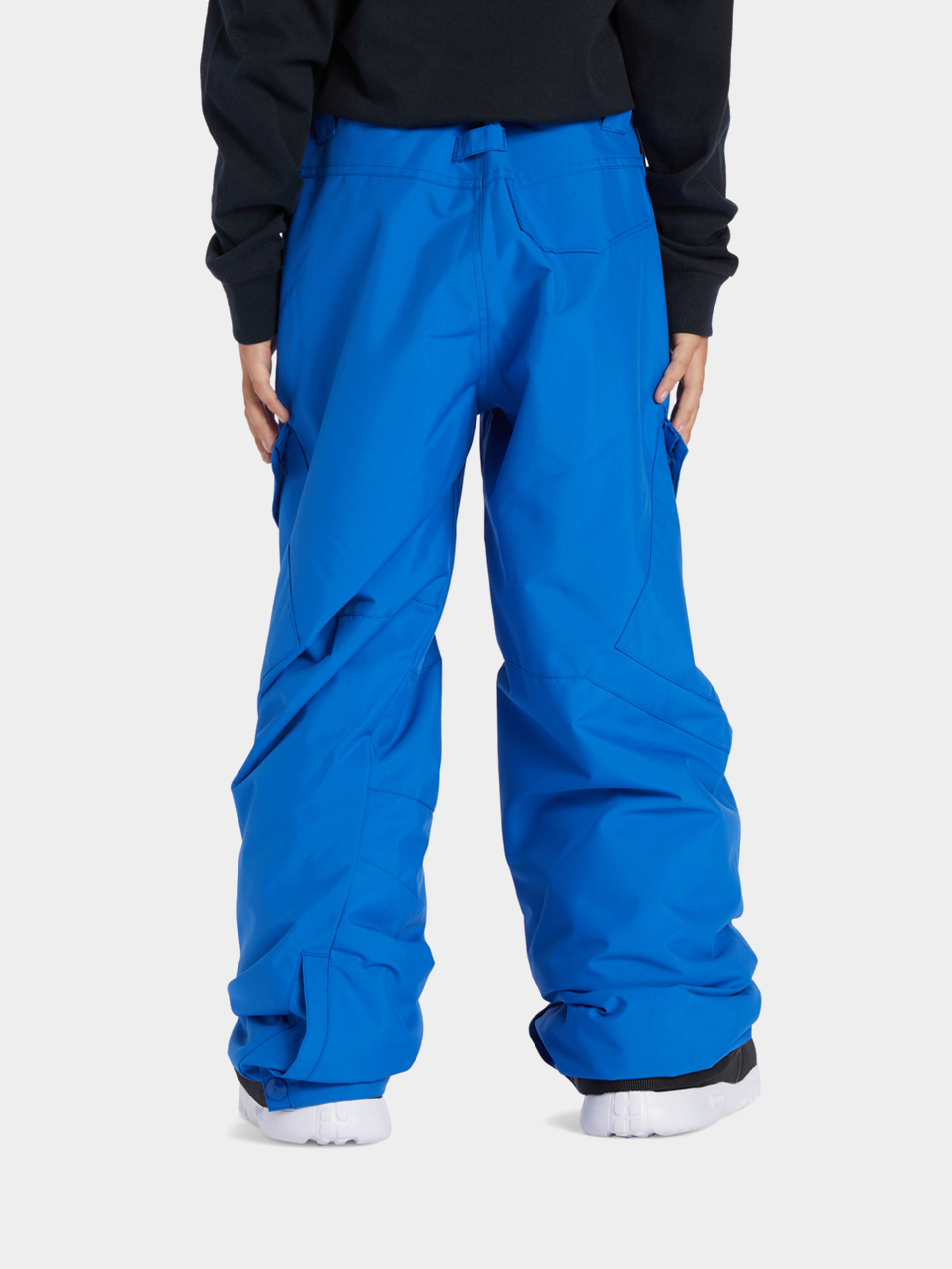 Dc ski sale pants