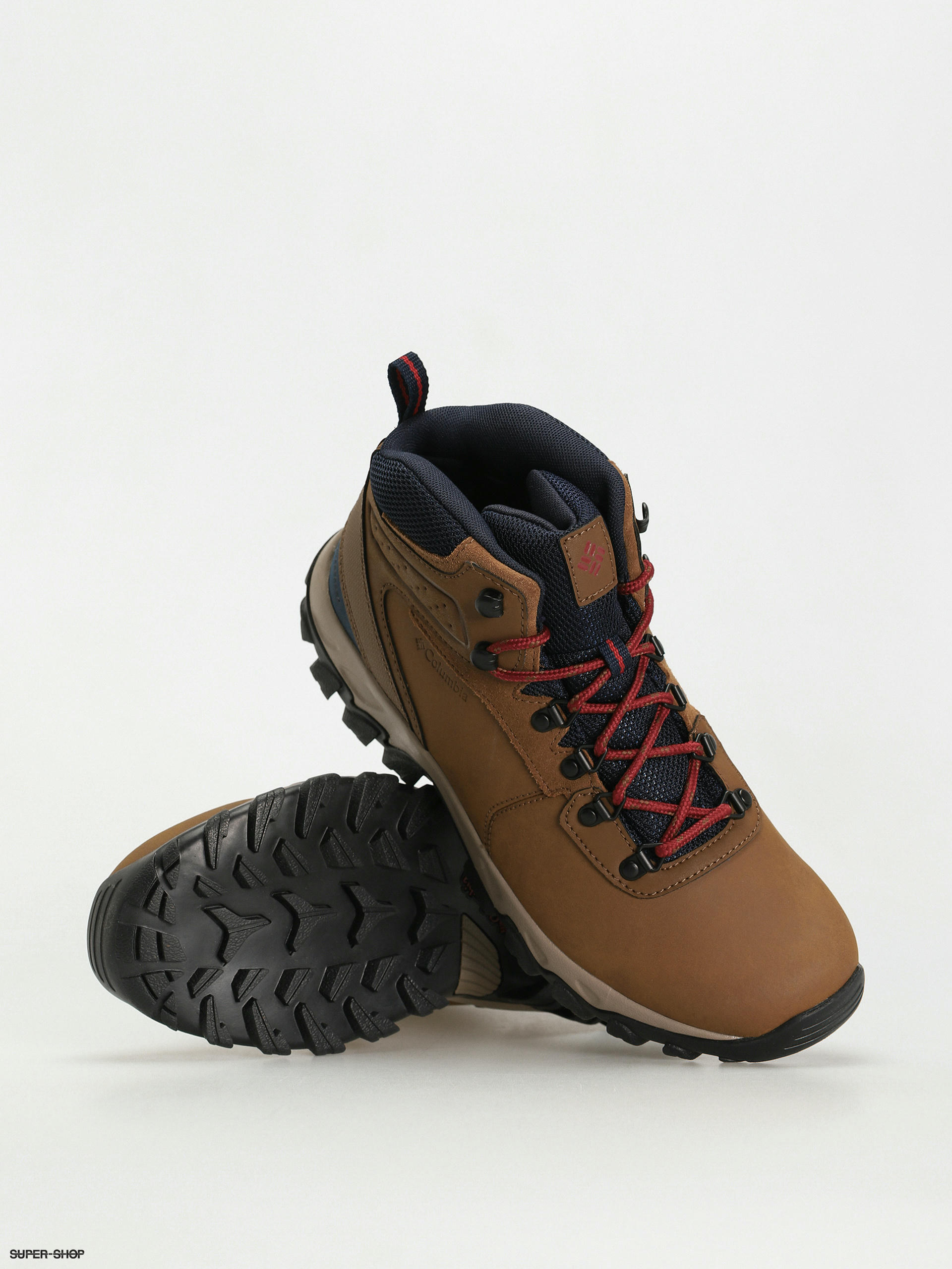 Men's newton ridge cheap plus ii