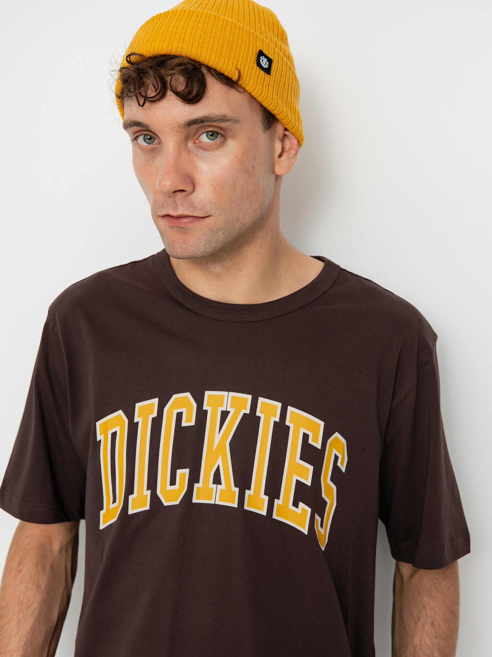 Dickies Aitkin T-shirt (java)