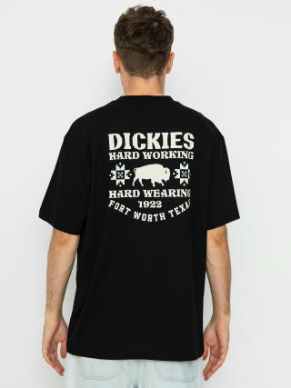 Dickies Hays T-shirt (black)