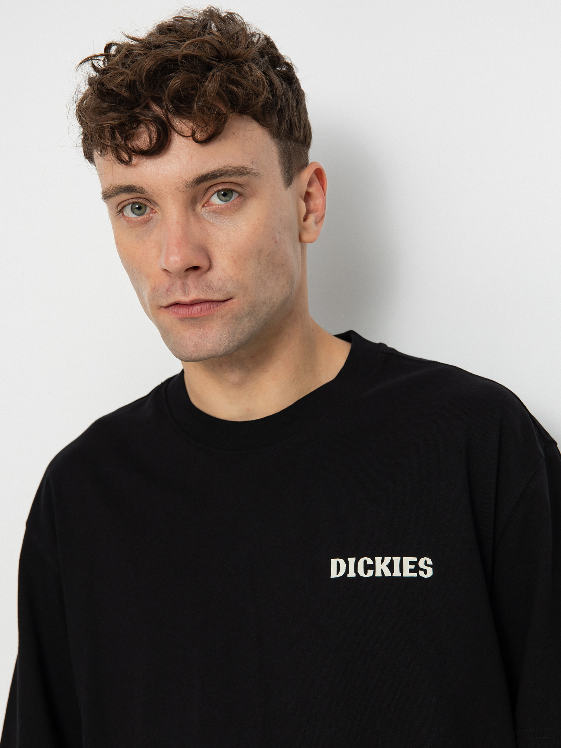 Dickies Hays T-shirt (black)