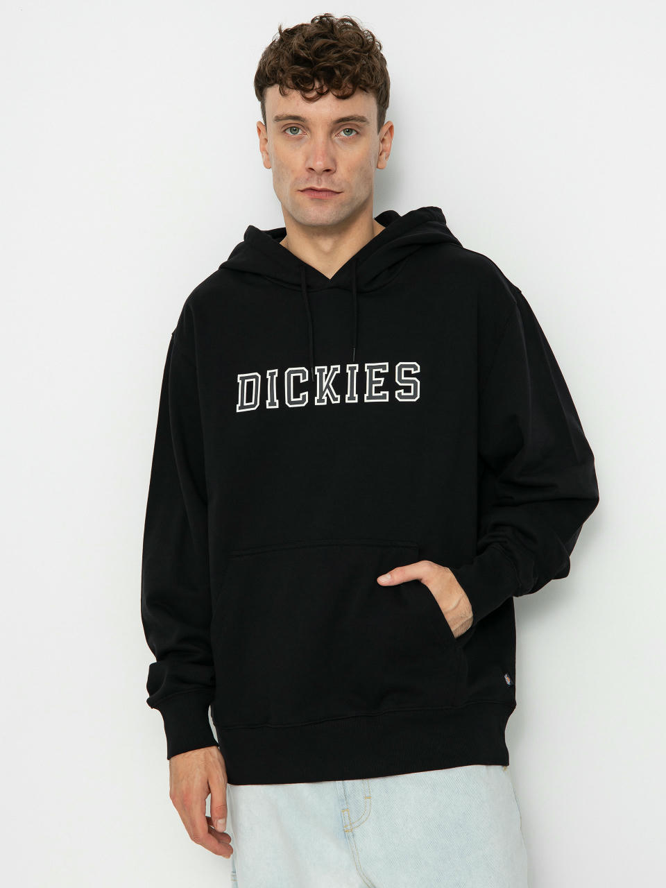 Dickies Melvern HD Hoodie (black)