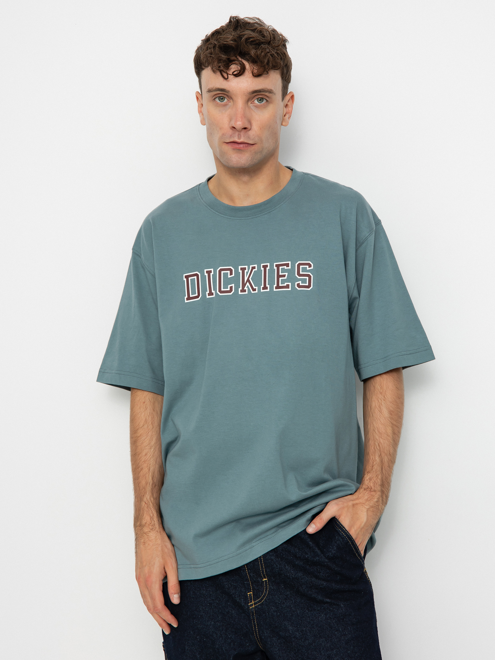 Dickies Melvern T-shirt (trooper)
