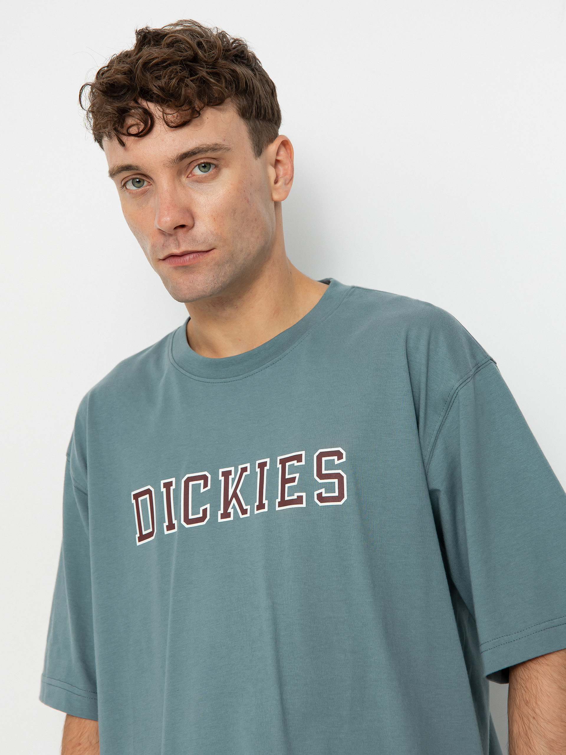 Dickies Melvern T-shirt (trooper)