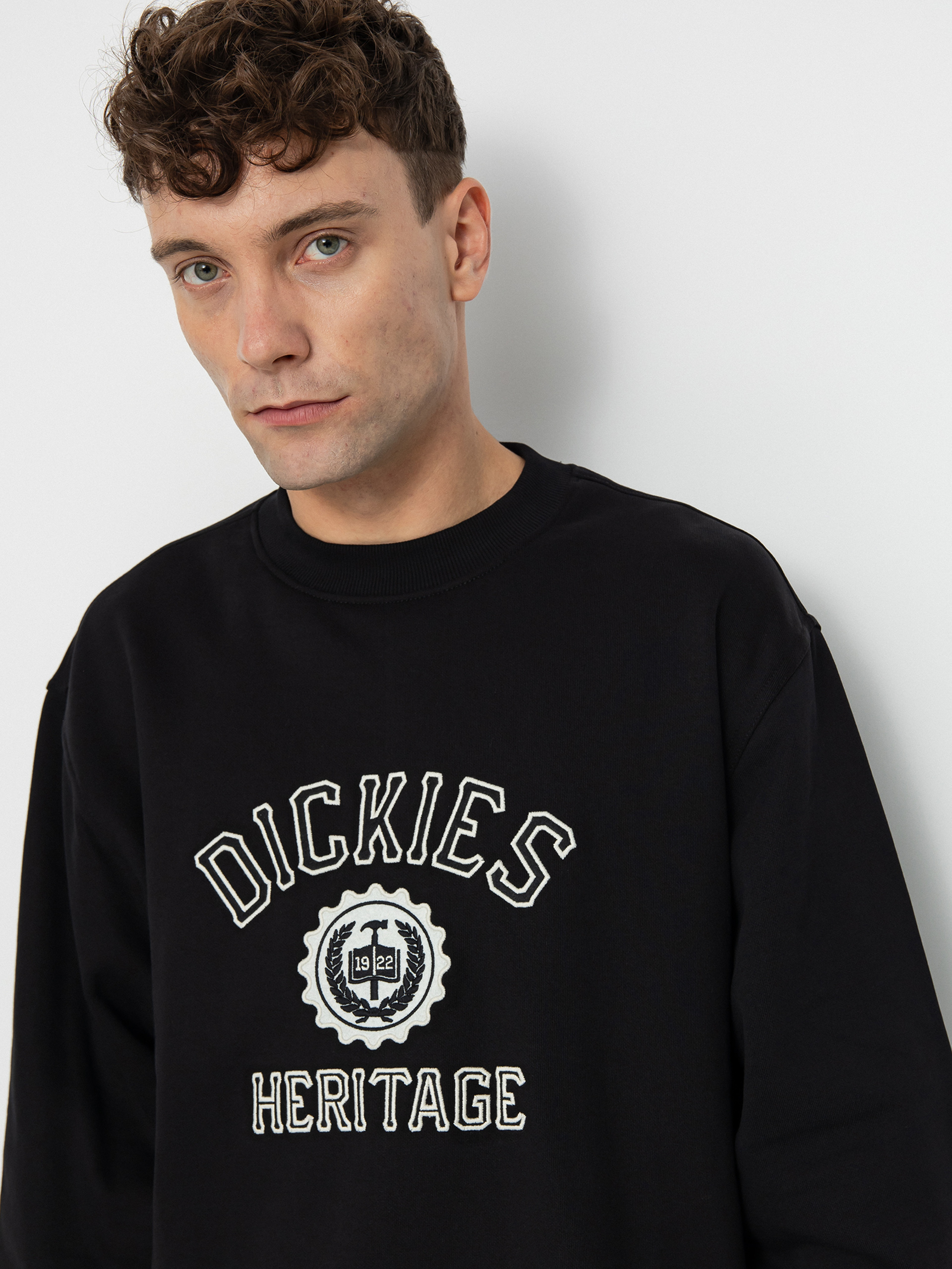 Dickies Oxford Sweatshirt (black)