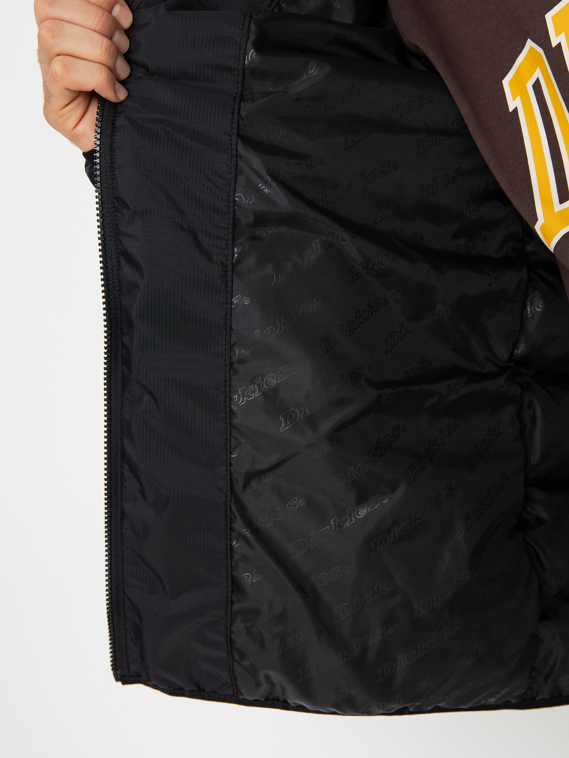 Dickies Waldenburg Mid Layer Jacket (black)