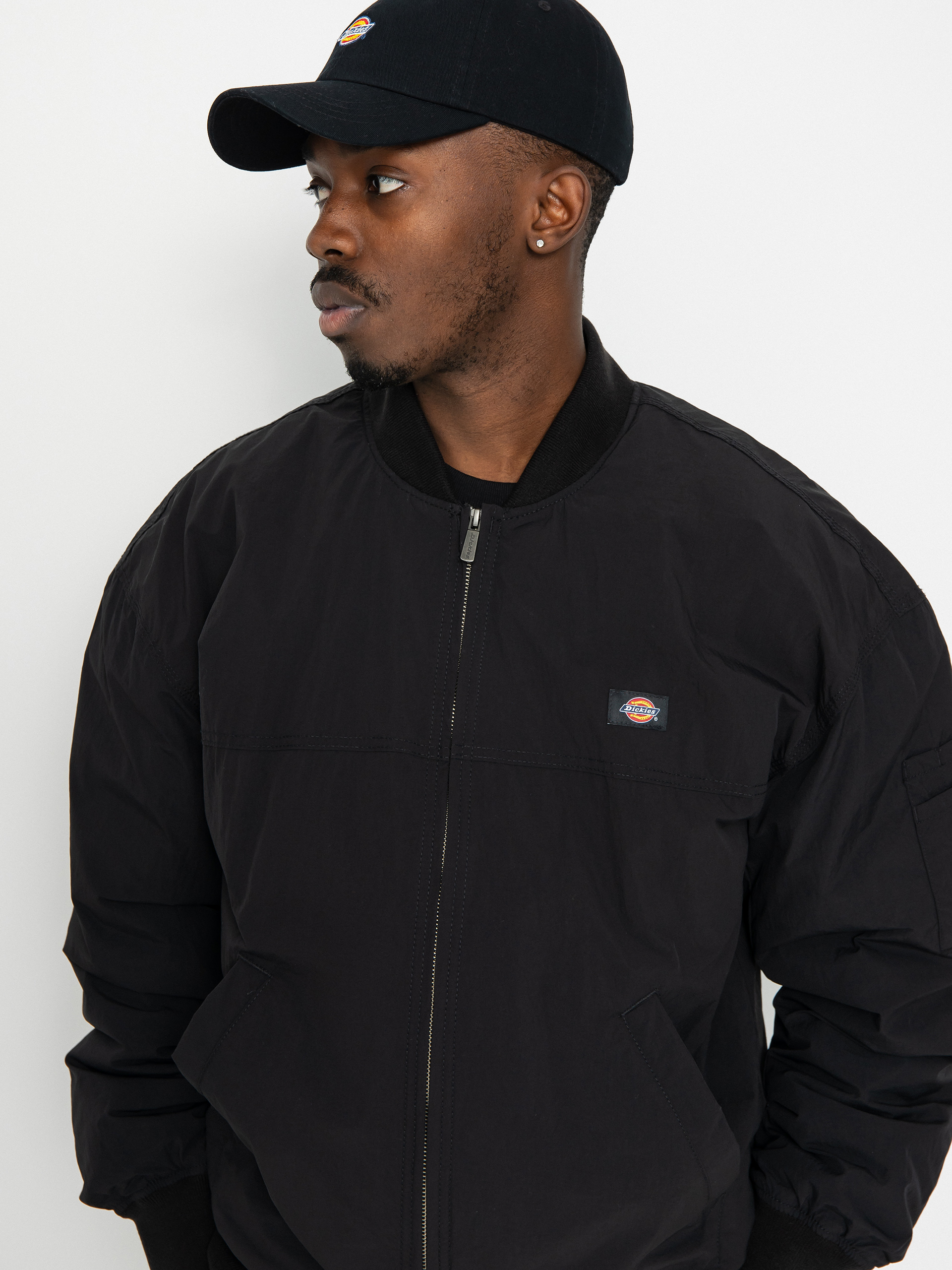Dickies Overbrook Bomber Jacket (black)