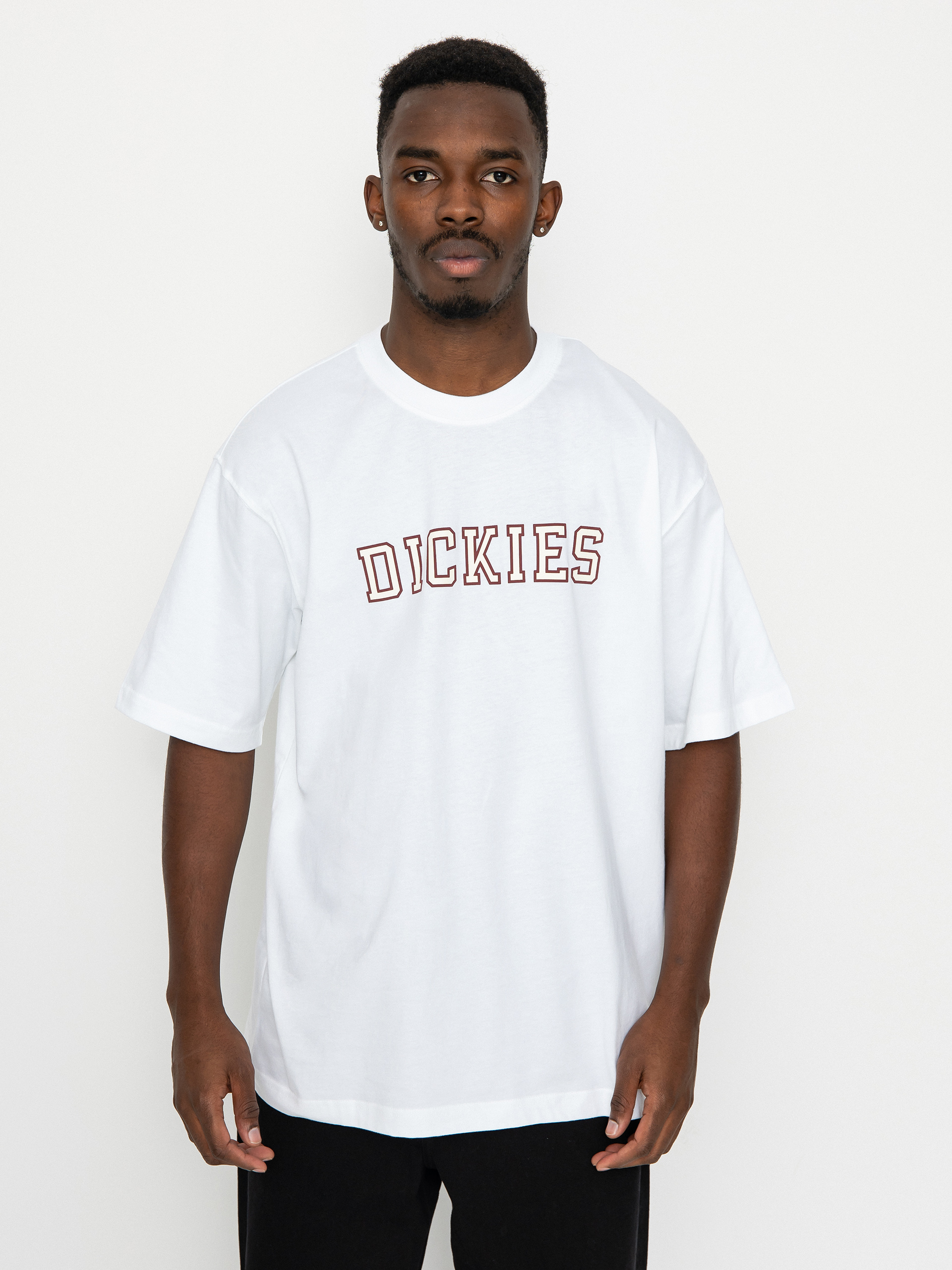 Dickies Melvern T-shirt (white)