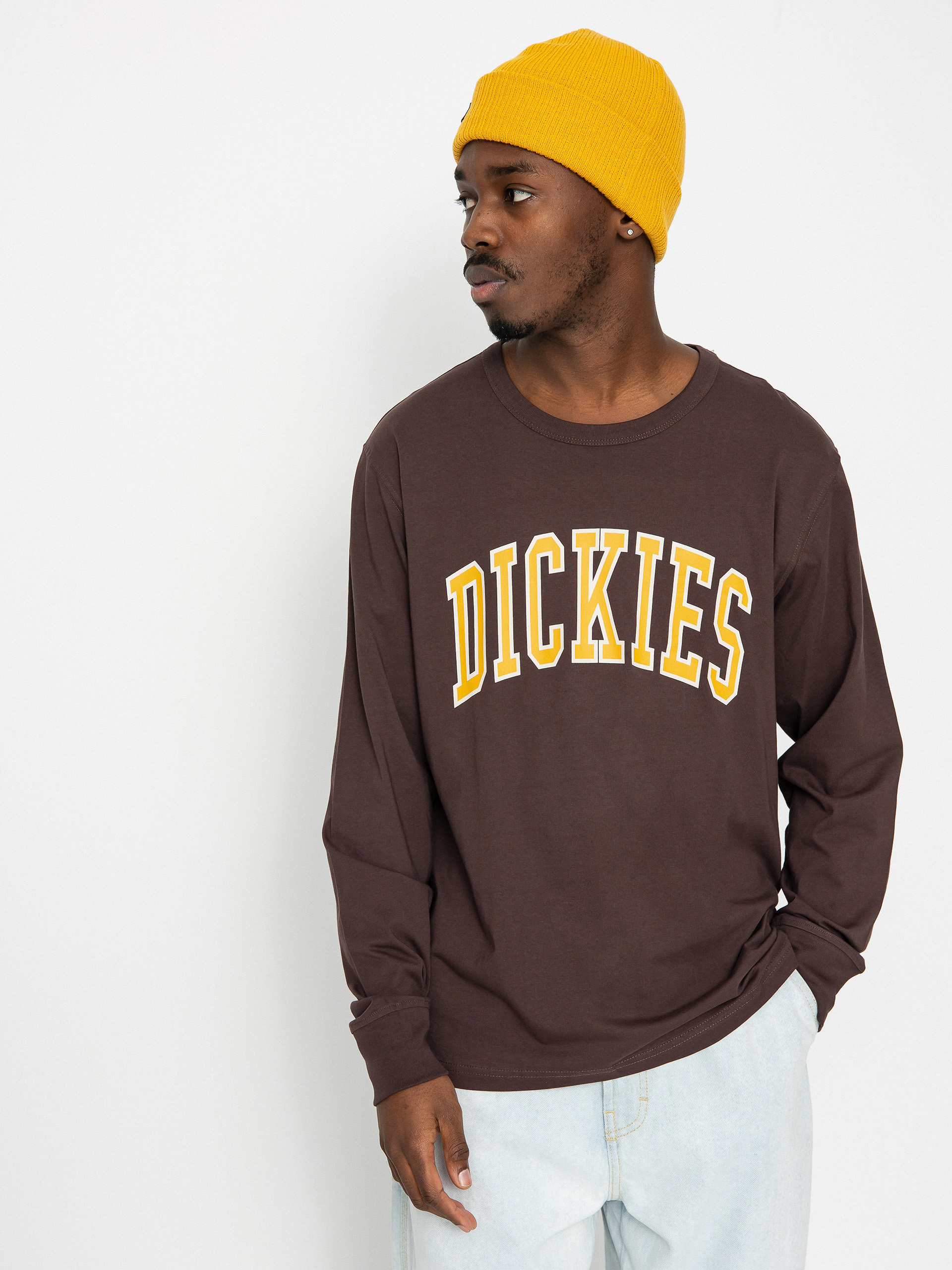 Dickies Aitkin Longsleeve (java)