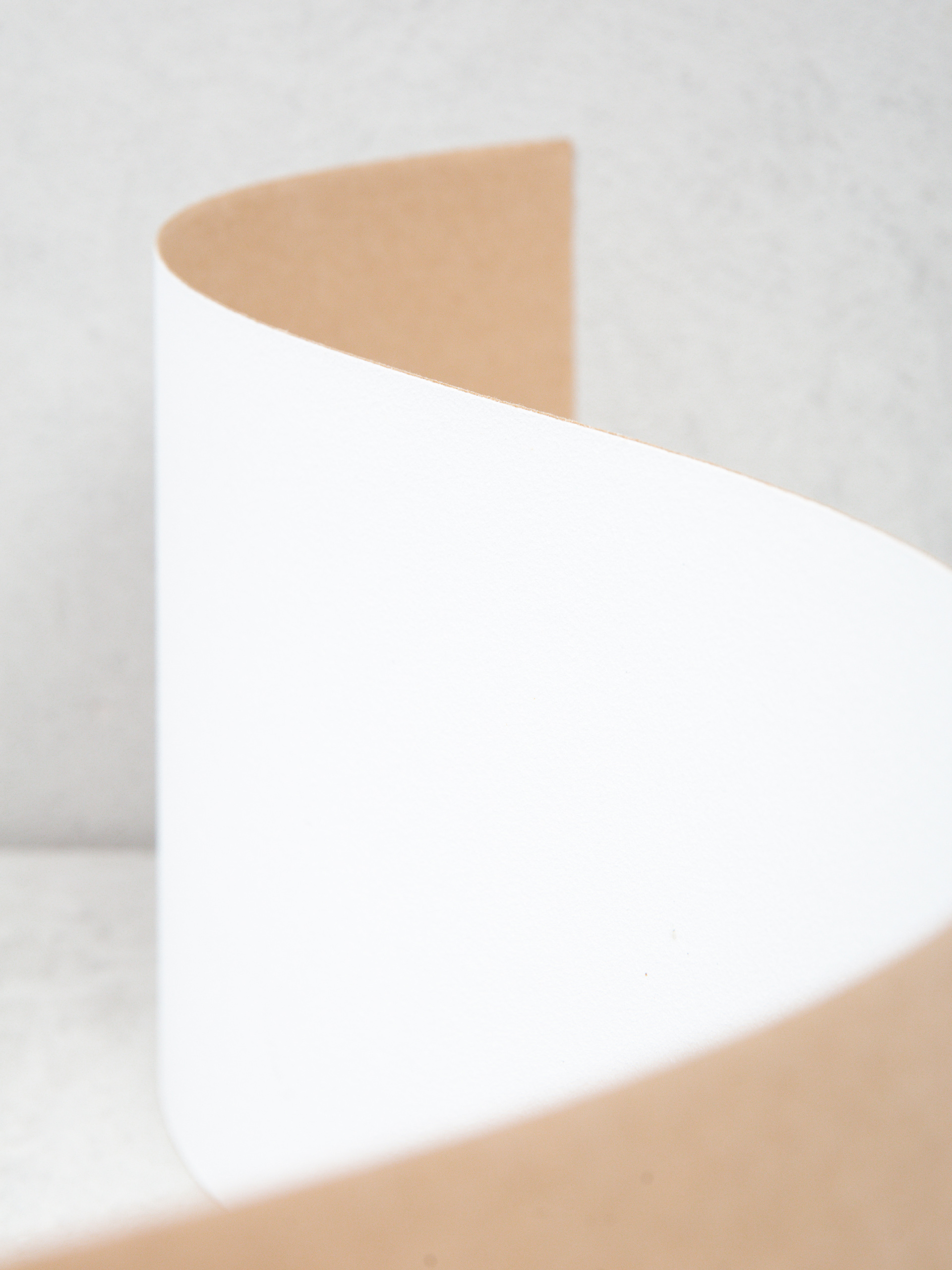 FKD Color Griptape (white)