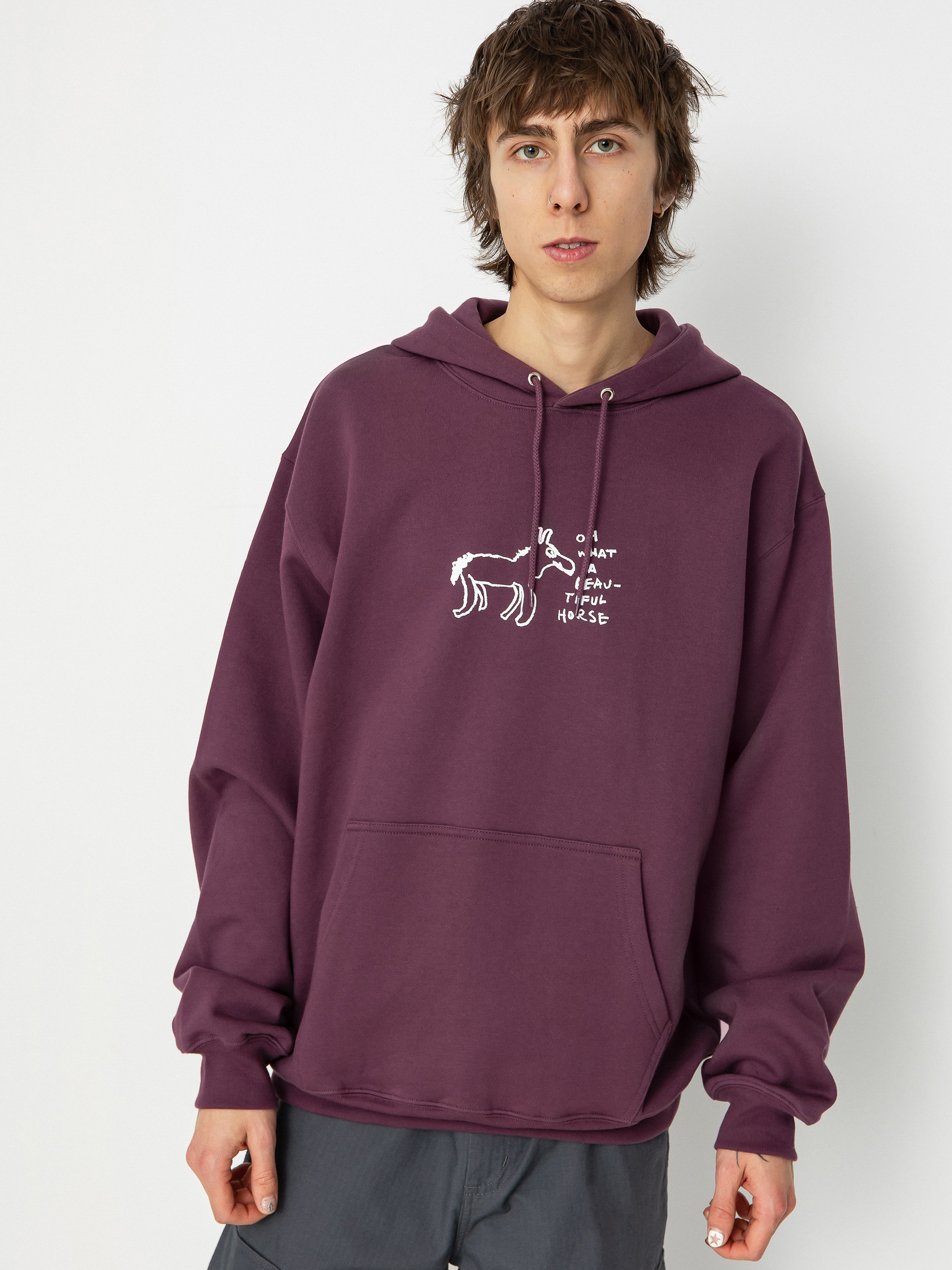 【POLAR SKATE CO】 BEAUTIFUL HORSES DAVE HOODIE [PLUM] Polar Skate Beautiful Horses Dave HD Hoodie - violet (plum)
