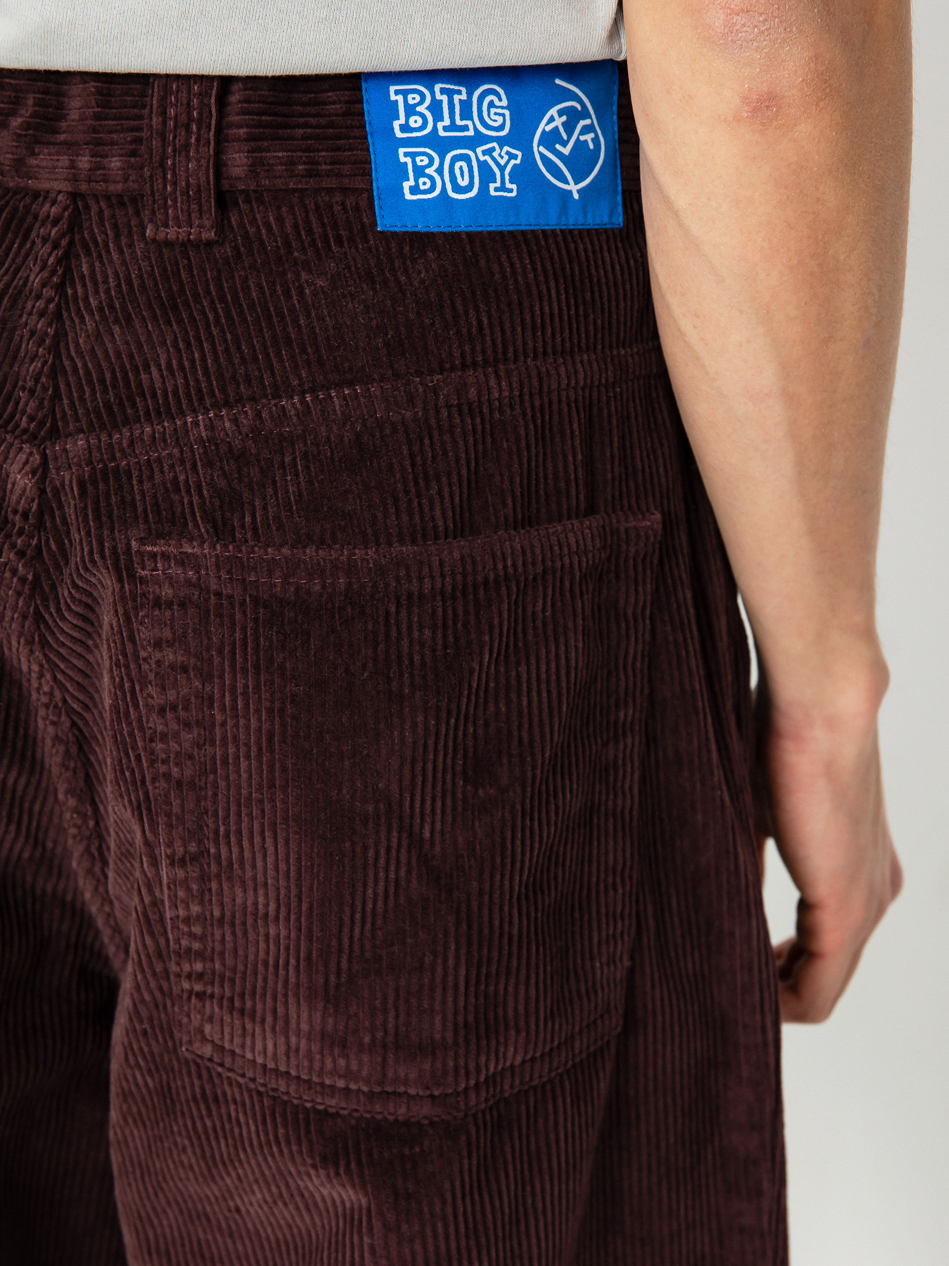 Polar Skate Big Boy Cords Pants - violet (bordeaux)