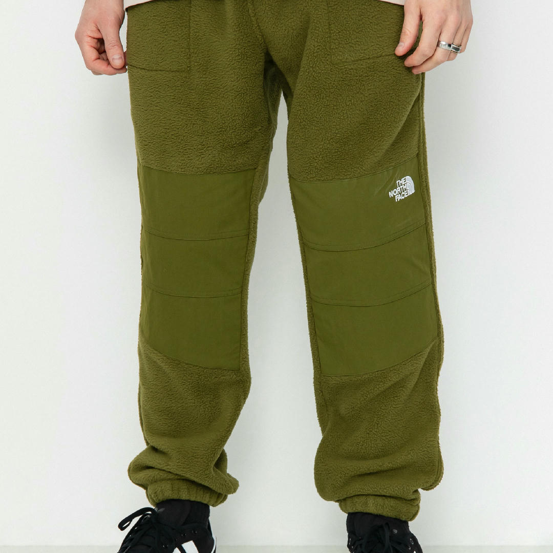 Women’s Ripstop Denali Pants | The North Face