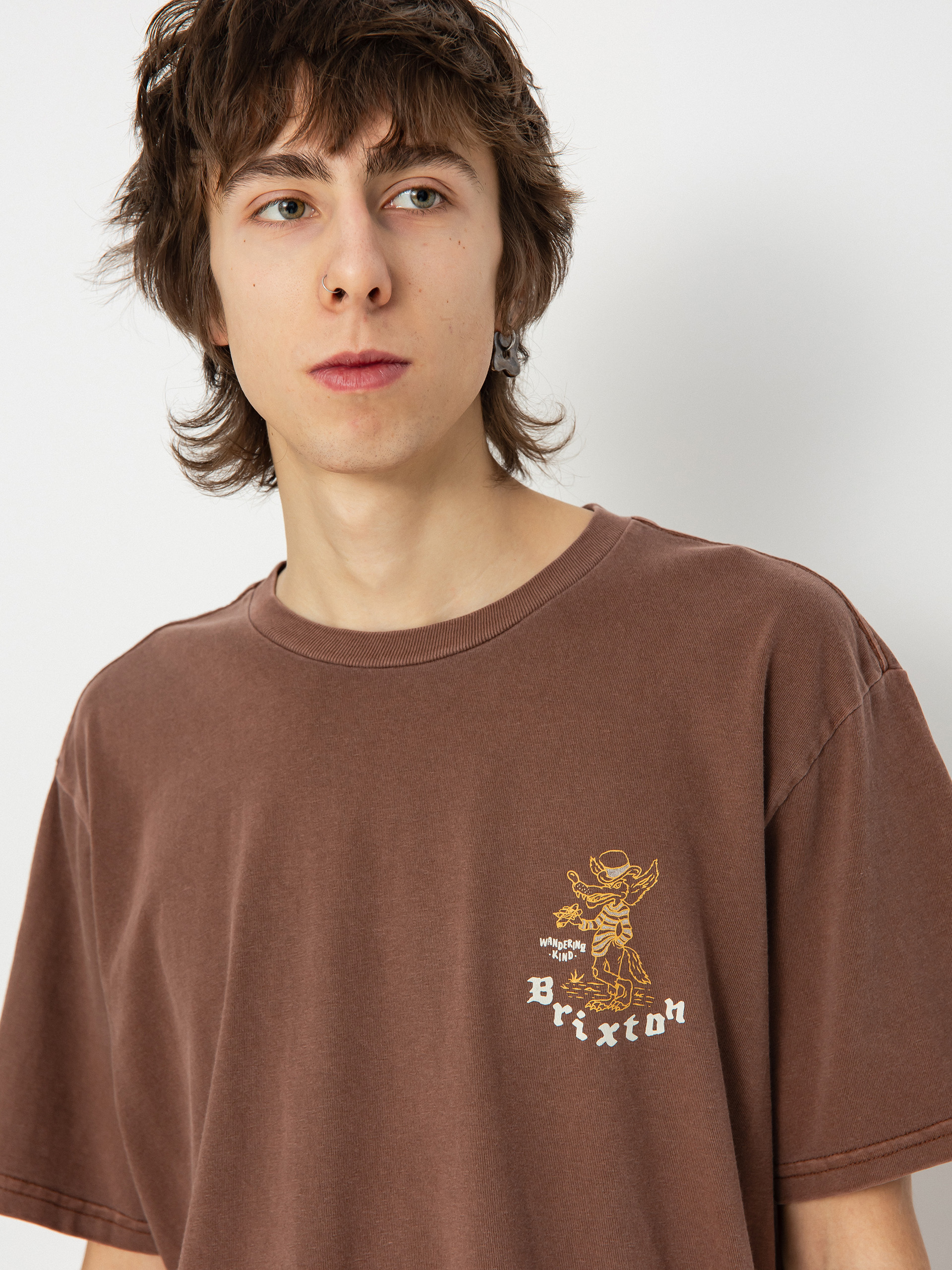 Brixton Oakwood Stt T-shirt (sepia worn wash)