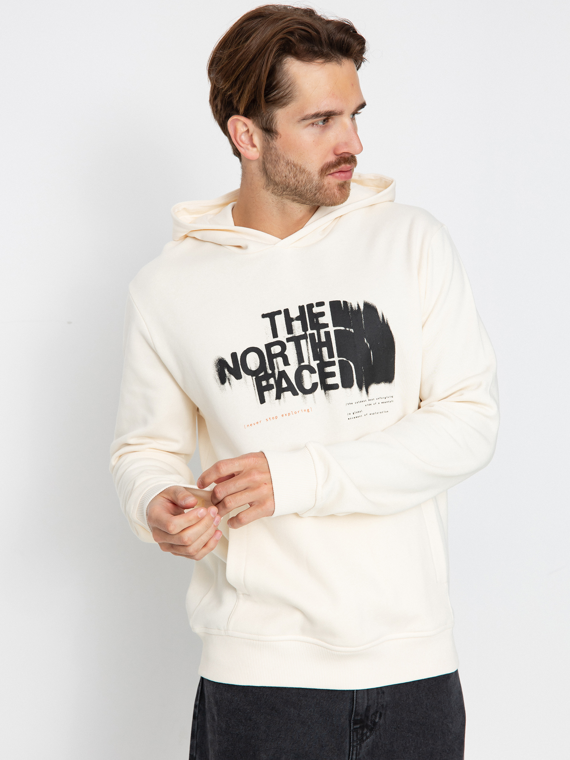 The North Face Graphic HD Hoodie beige (white dune)