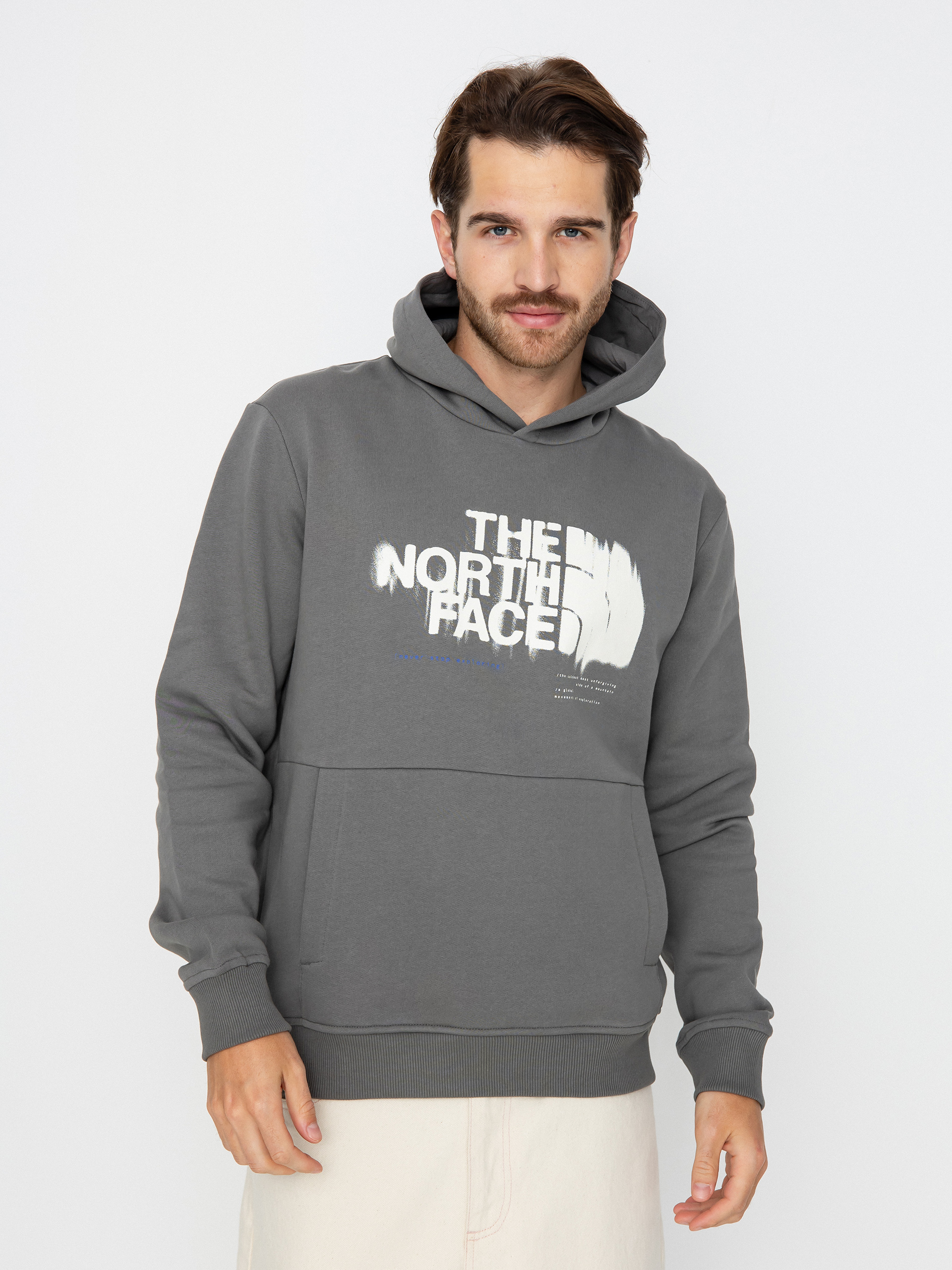 The North Face Graphic HD 3 Hoodie - grey (smoked pearl)
