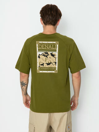 The North Face North Faces T-shirt (forest olive)