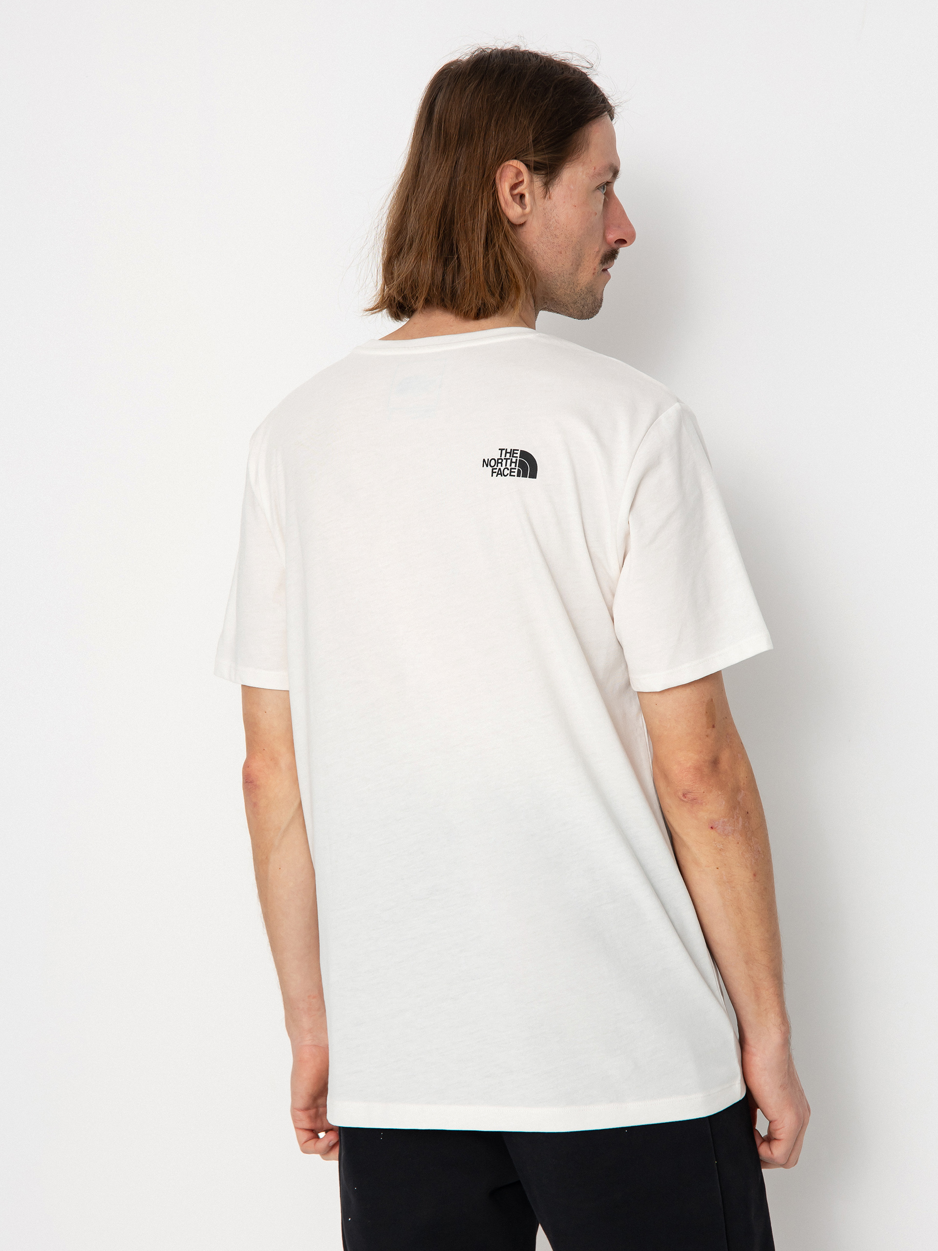 The North Face Foundation Coordinates Graphic T-Shirt (gardniawt/gardniawt/tnfbk)