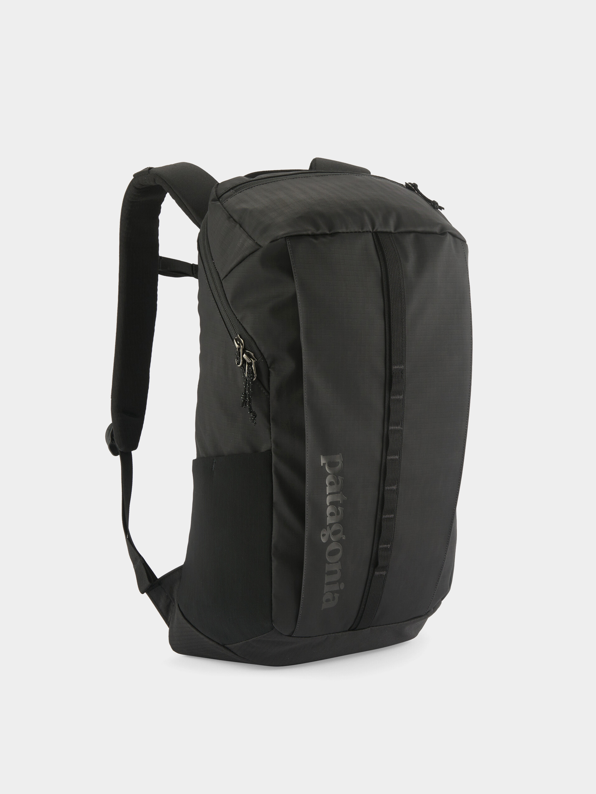 Patagonia Rucksack Black Hole Pack 25L (black)