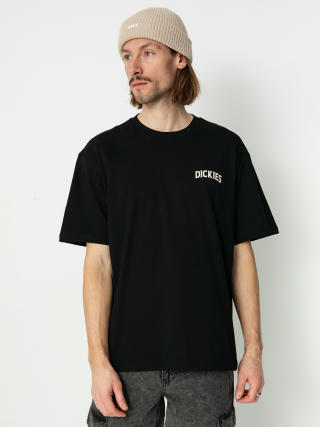 Dickies Elliston T-Shirt (black)