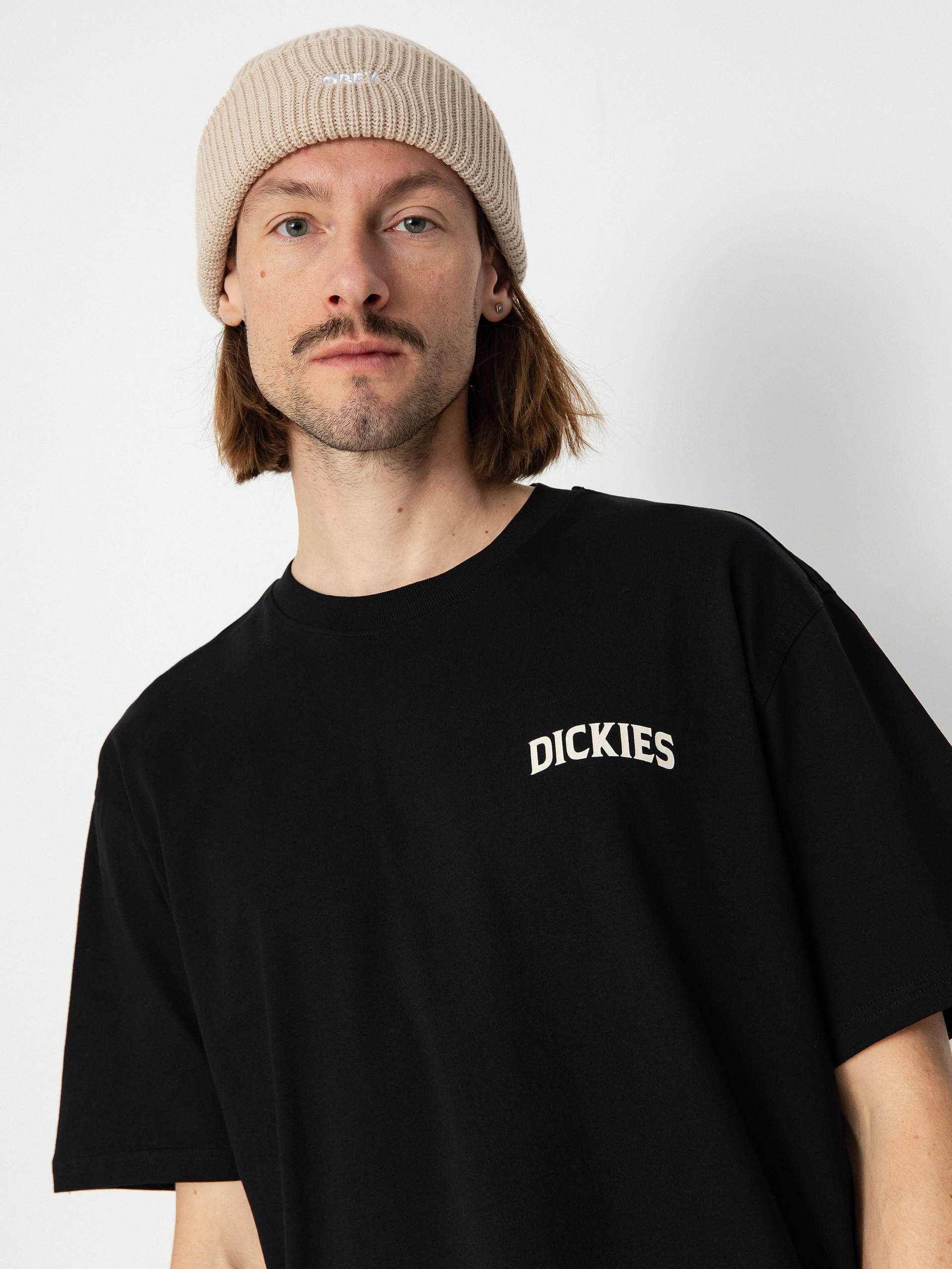 Dickies Elliston T-Shirt (black)