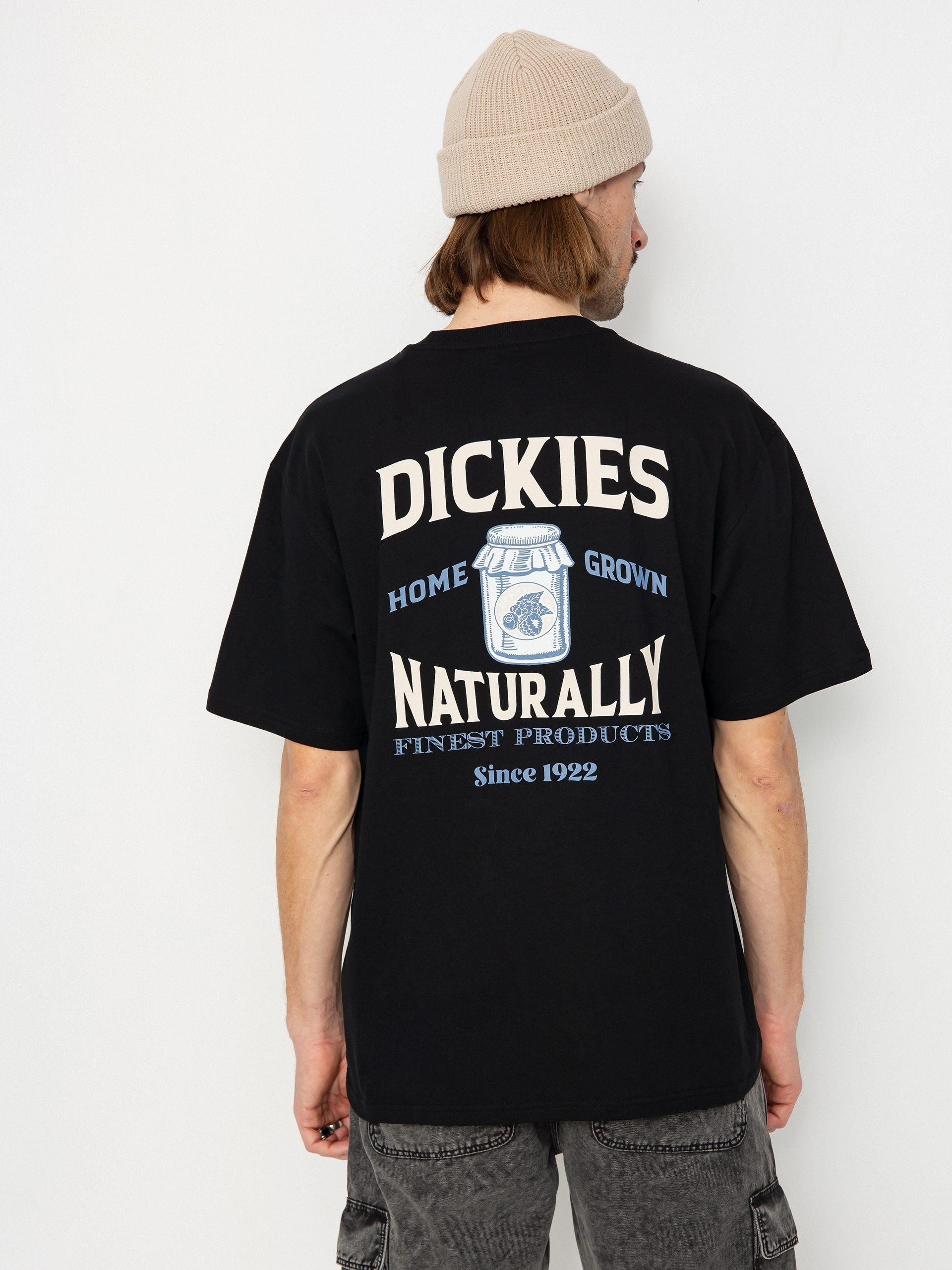 Dickies Elliston T-Shirt (black)