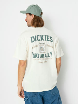 Dickies Elliston T-Shirt (cloud)