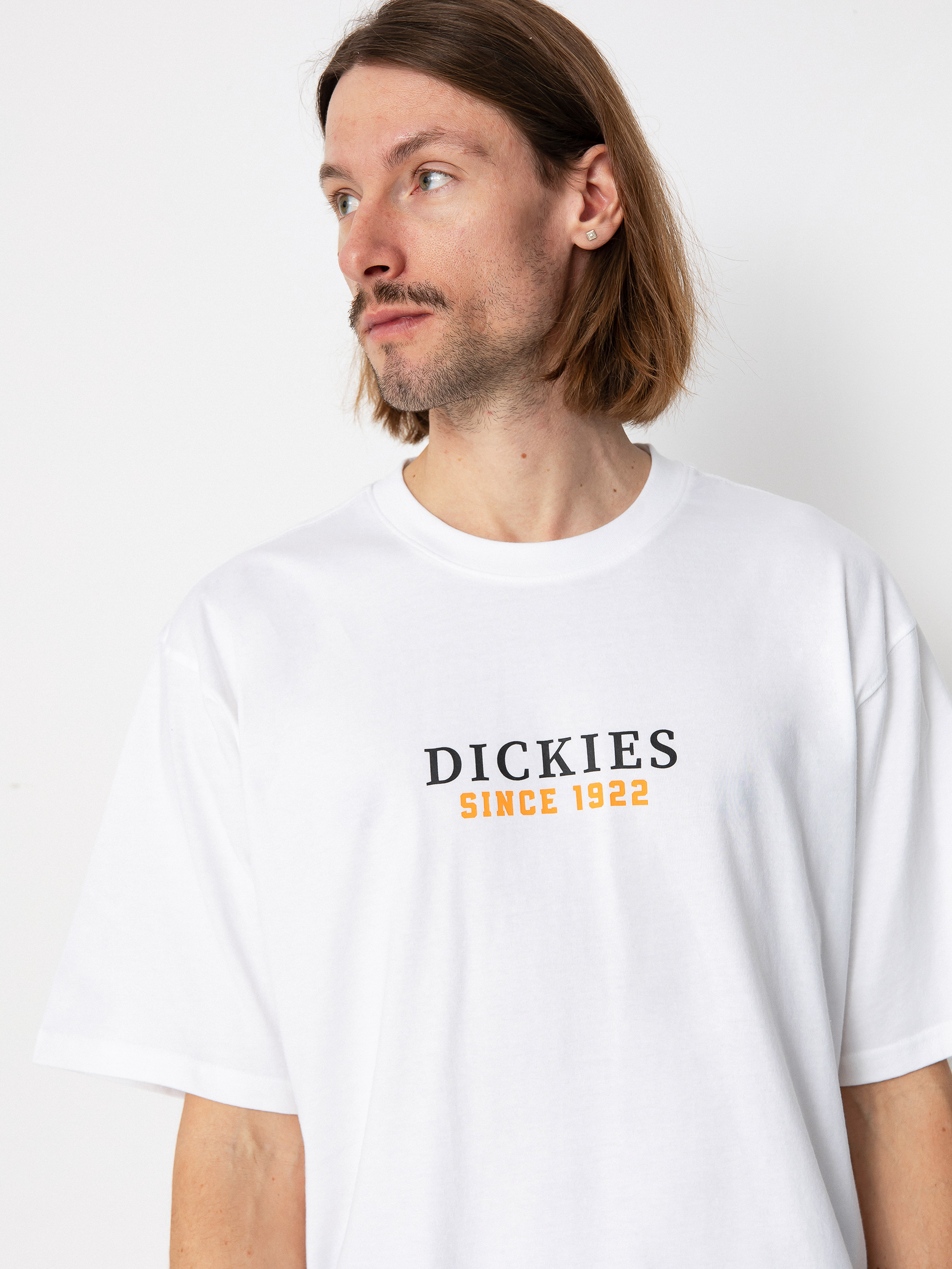 Dickies Park T-Shirt (white/pale green)
